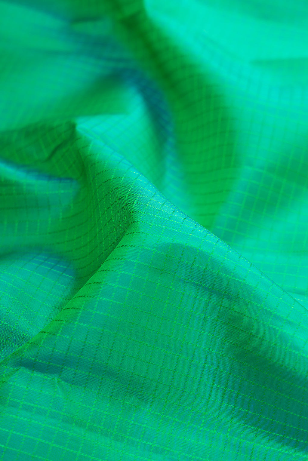 Close up of Green Kanchipuram Silk Saree with Checked design on the body and Zari Border.  displaying folds