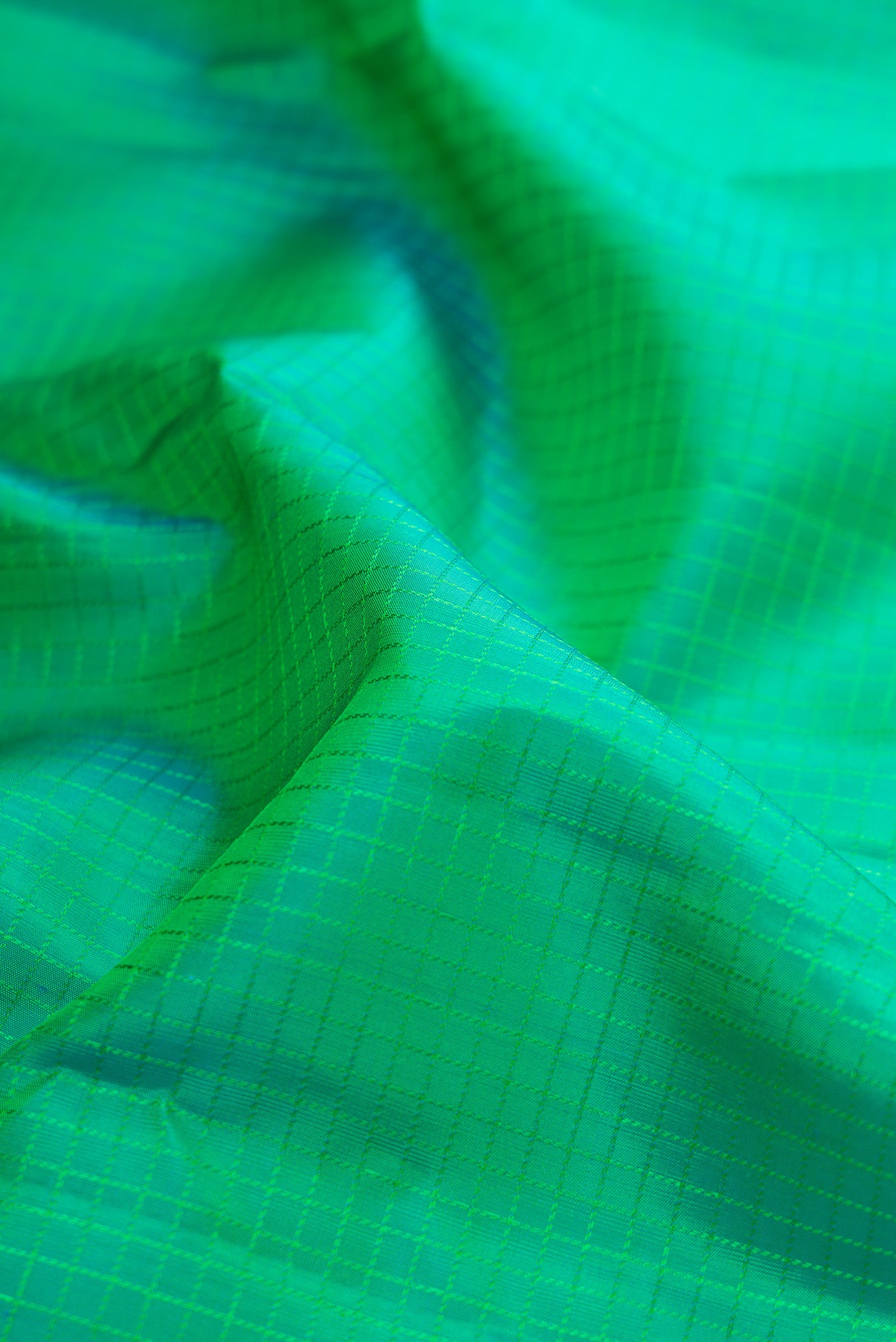 Close up of Green Kanchipuram Silk Saree with Checked design on the body and Zari Border.  displaying folds