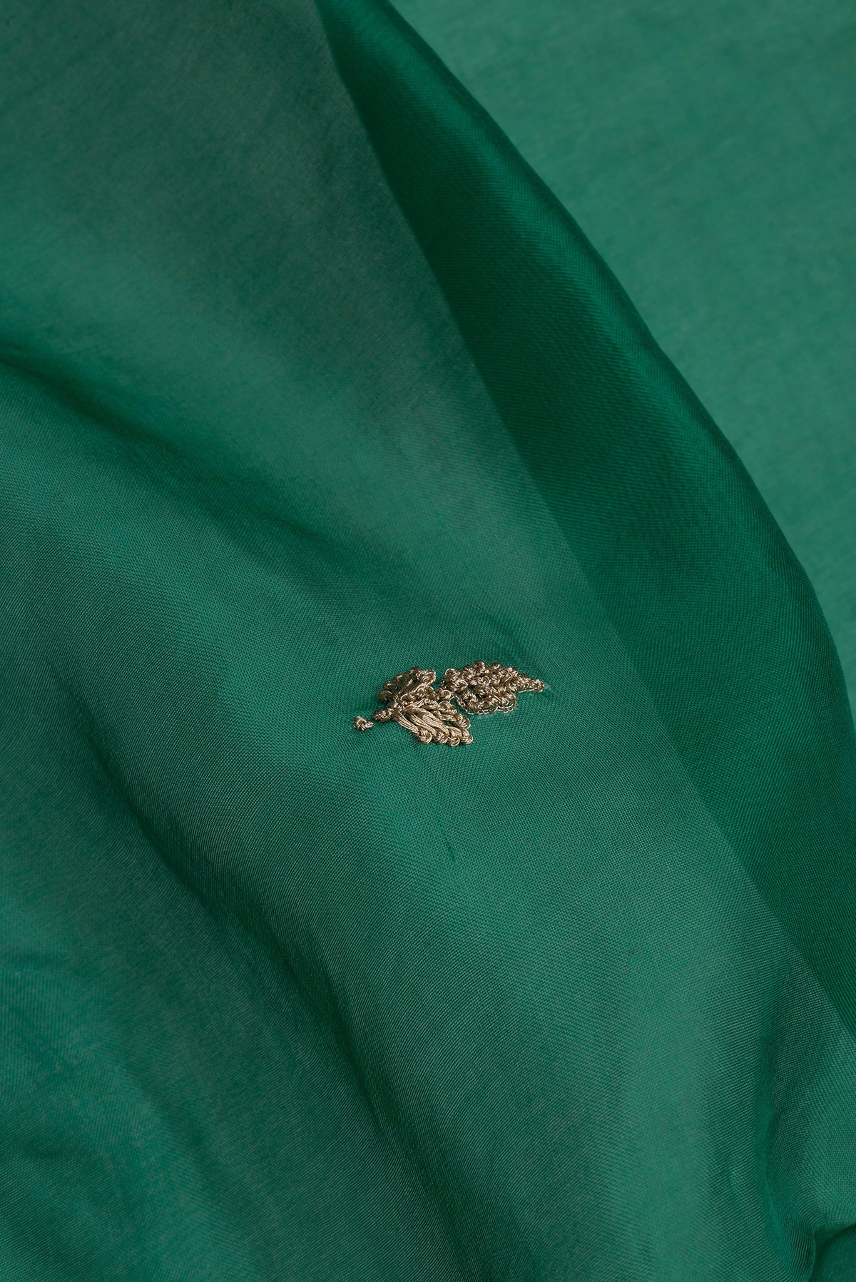 Close up of Green Organza Silk Saree with Embroidery on the body and Embroidery Border.  displaying folds