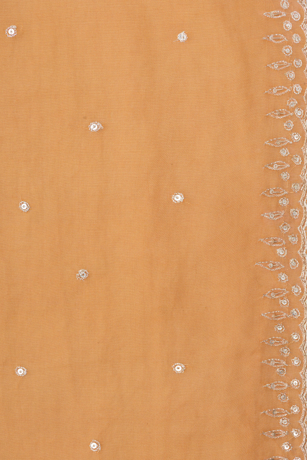 Border image of Orange Dual Tone Organza Silk Saree with Embroidery on the body and Embroidery Border. 