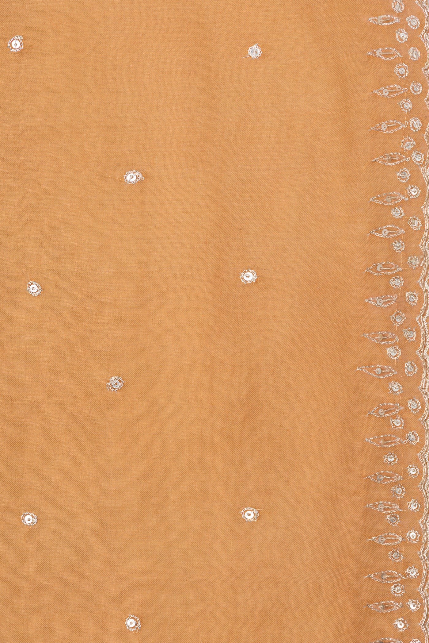 Border image of Orange Dual Tone Organza Silk Saree with Embroidery on the body and Embroidery Border. 