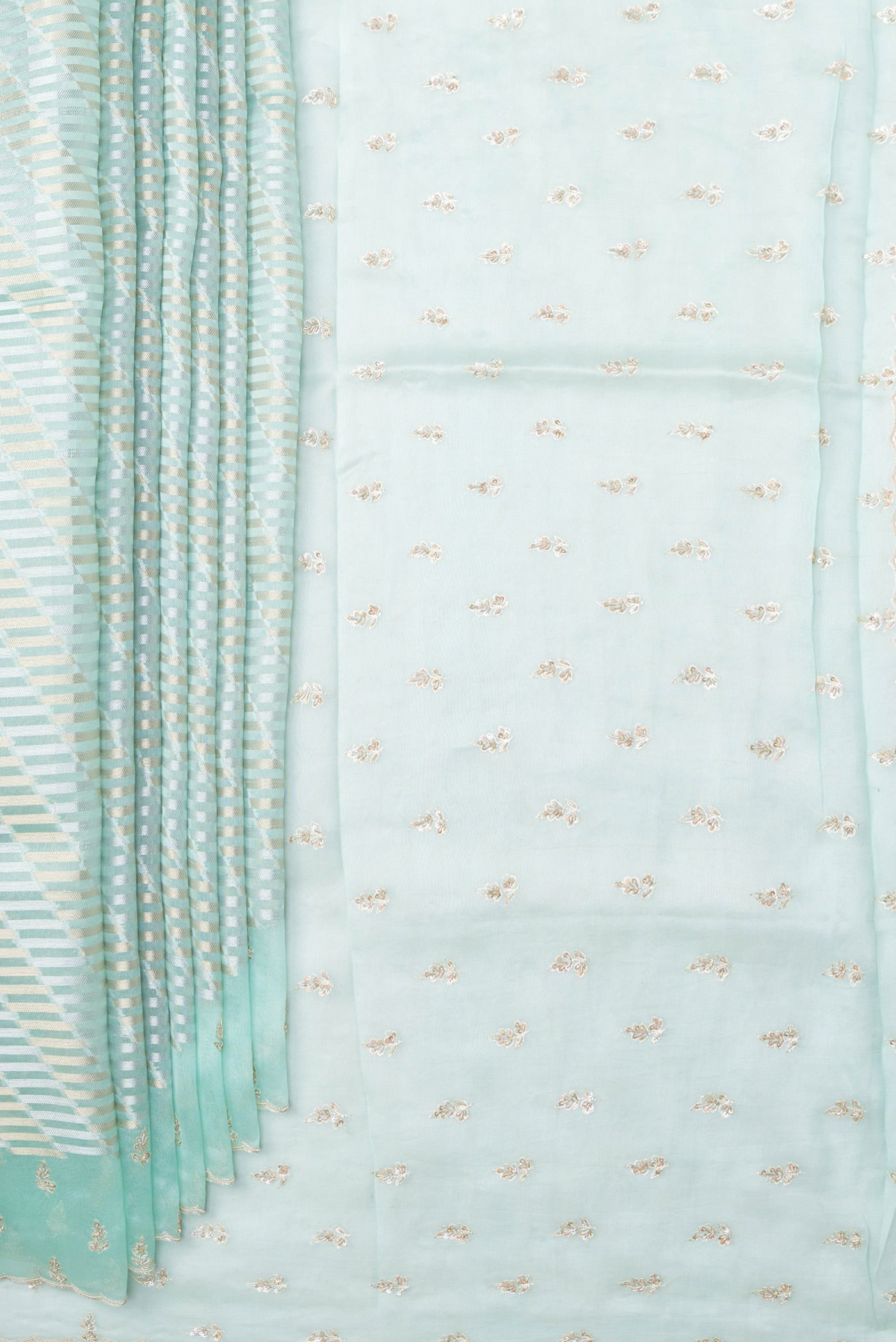 Pleats and pallu of Sky Blue Organza Silk Saree with Zari Brocade on the body and Sequin Border. 