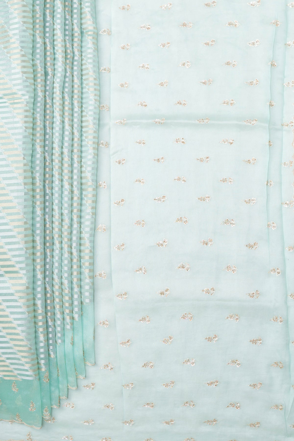 Pleats and pallu of Sky Blue Organza Silk Saree with Zari Brocade on the body and Sequin Border. 
