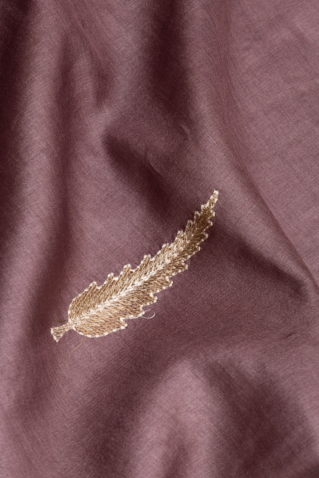 Close up of Brown Tussar Silk Saree with Embroidery on the body and Zari Border.  displaying folds