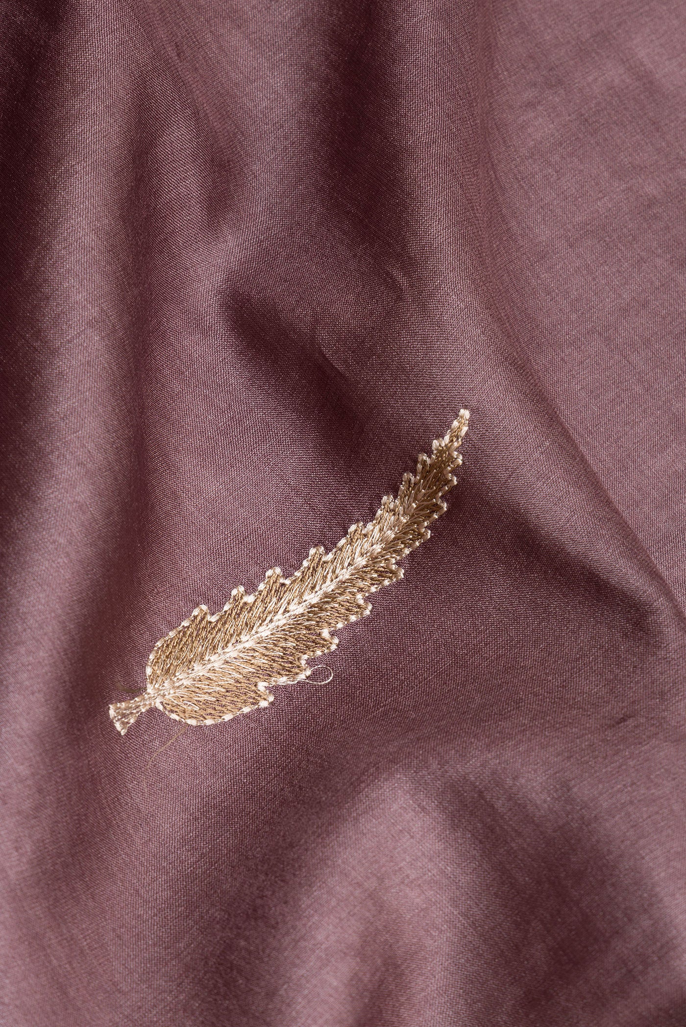 Close up of Brown Tussar Silk Saree with Embroidery on the body and Zari Border.  displaying folds