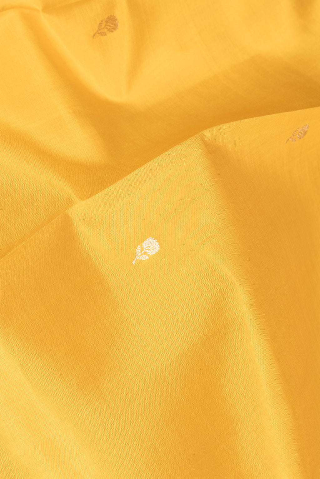 Close up of Mustard Banarasi Silk Saree with Zari Butta on the body and Fancy Border.  displaying folds