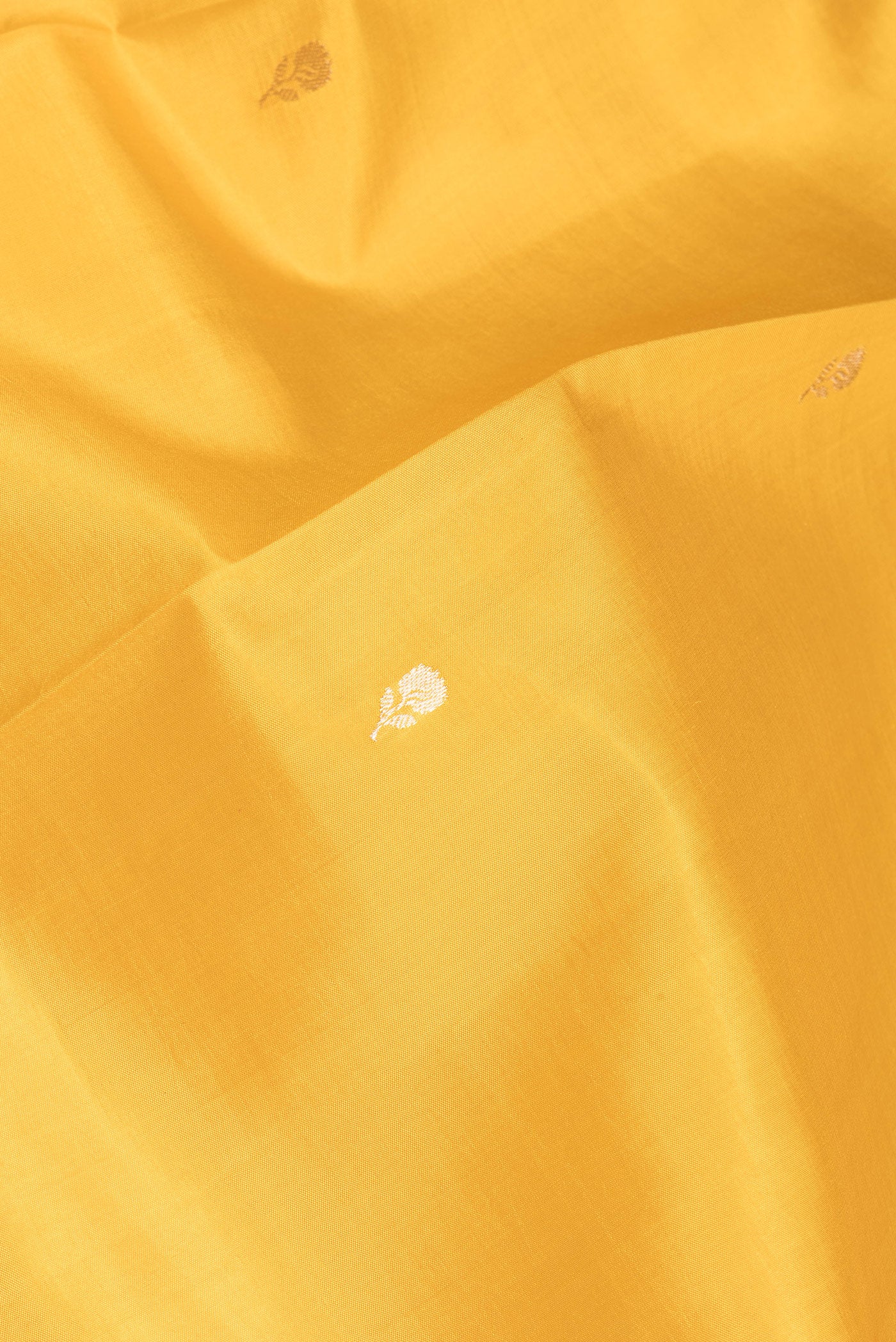 Close up of Mustard Banarasi Silk Saree with Zari Butta on the body and Fancy Border.  displaying folds