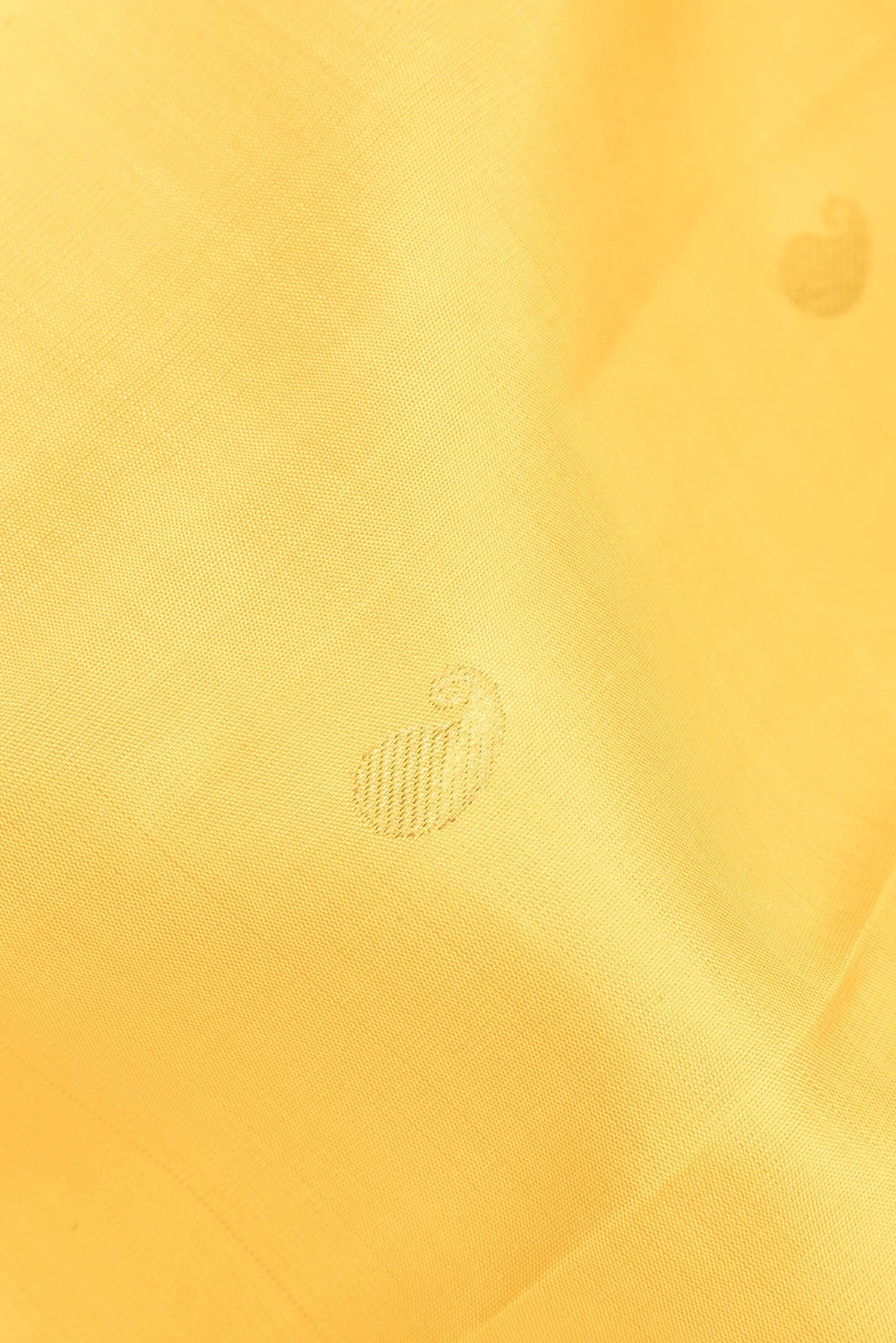 Close up of Pure Silk Yellow Kanjivaram Saree with Zari Butta on the body and Zari Border.  displaying folds
