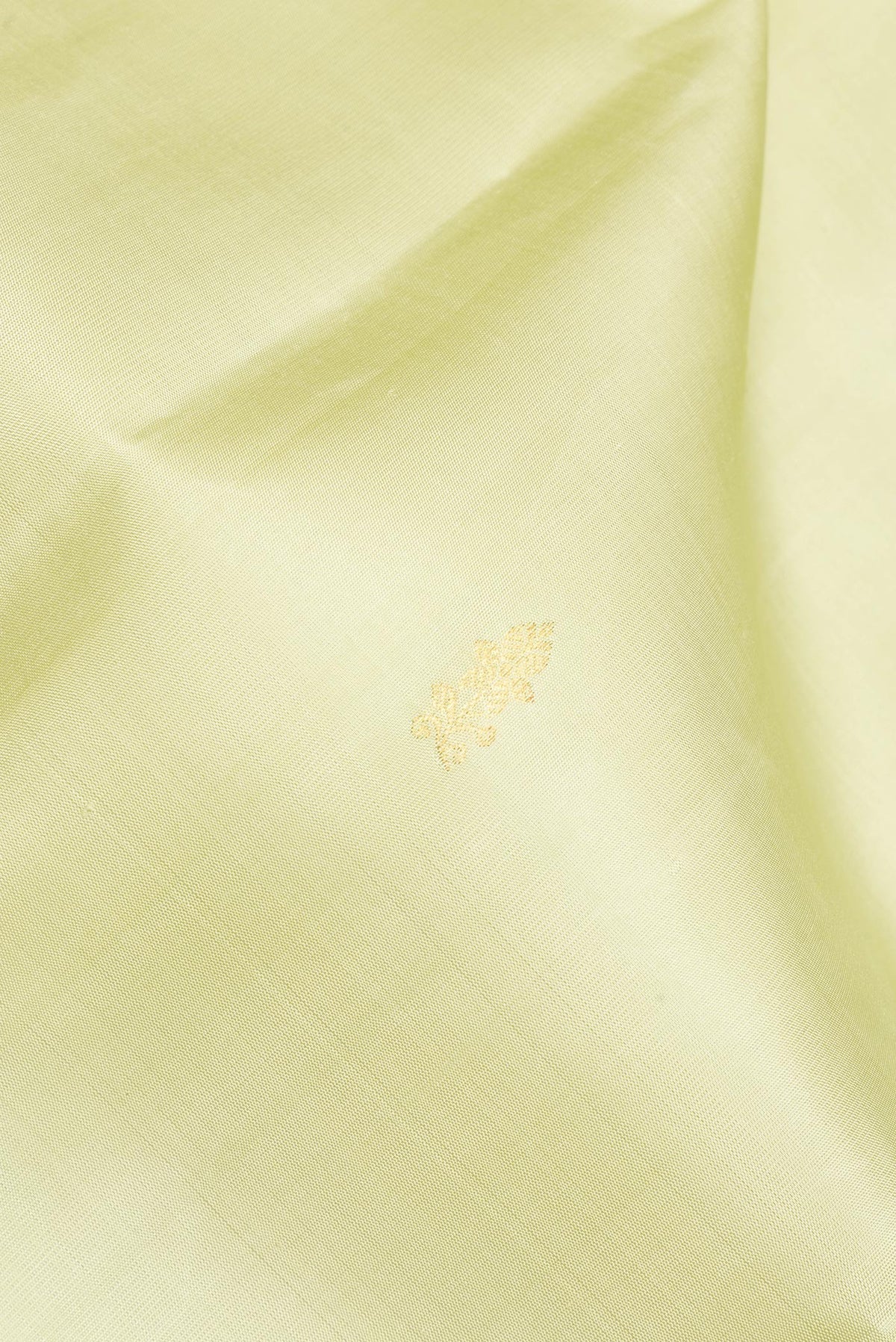Close up of Pure Silk Pista Green Kanjivaram Saree with Zari Butta on the body and Zari Border.  displaying folds