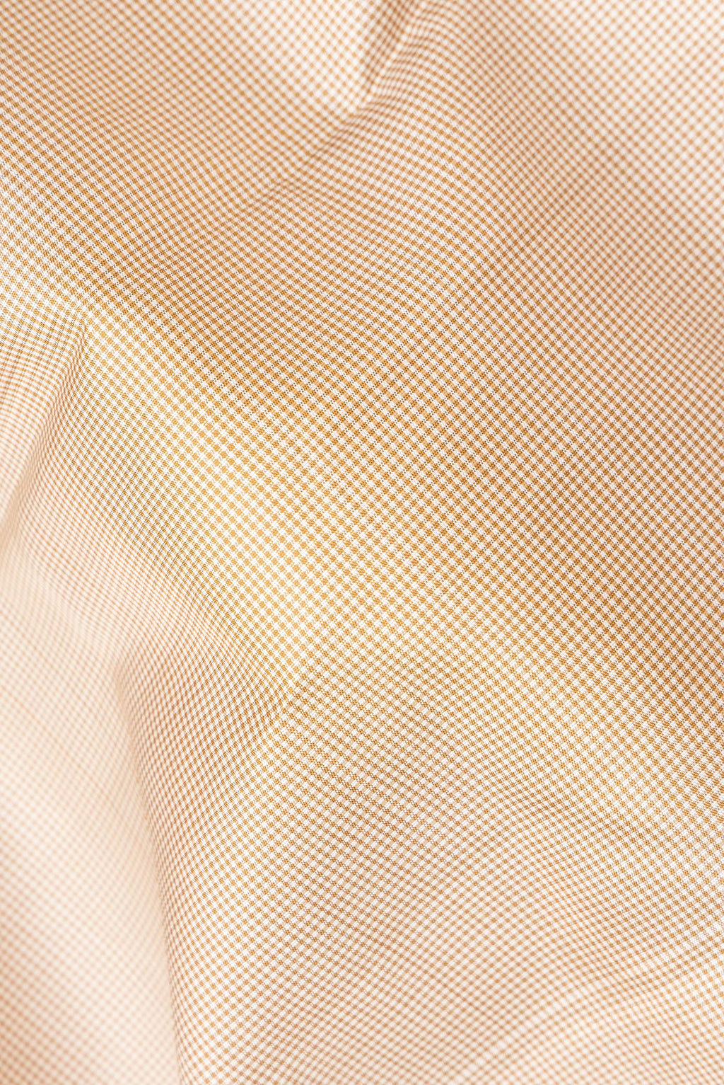 Close up of Pure Silk Beige Kanchipuram Saree with Checked design on the body and Zari Border.  displaying folds