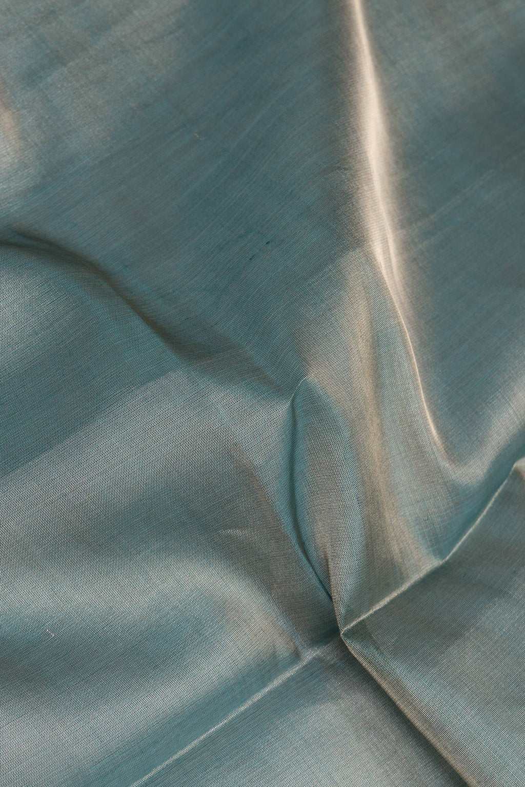 Close up of Green Organza Saree with Plain Body and Without Border.  displaying folds