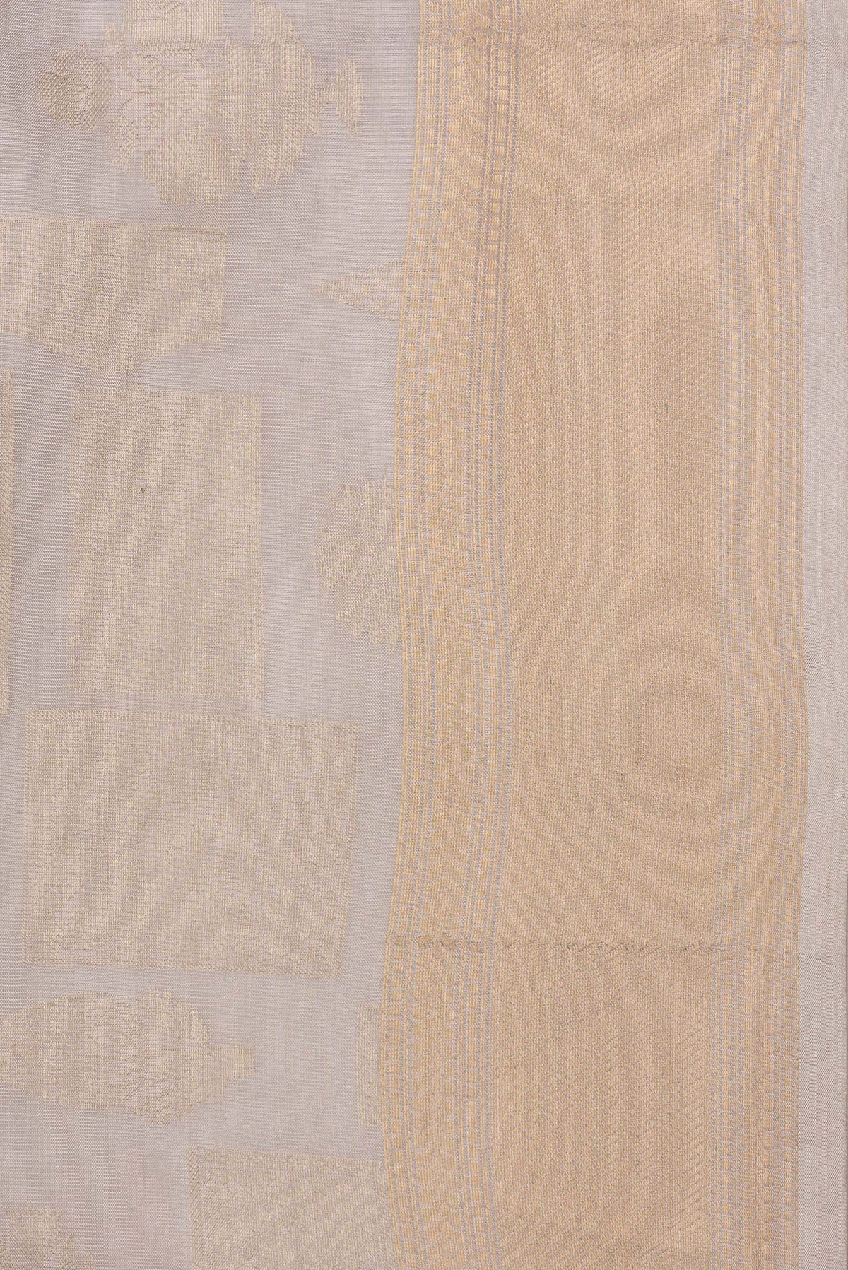 Border image of Pure Silk Beige Dual Tone Kanjivaram Saree with Zari Brocade on the body and Zari Border. 