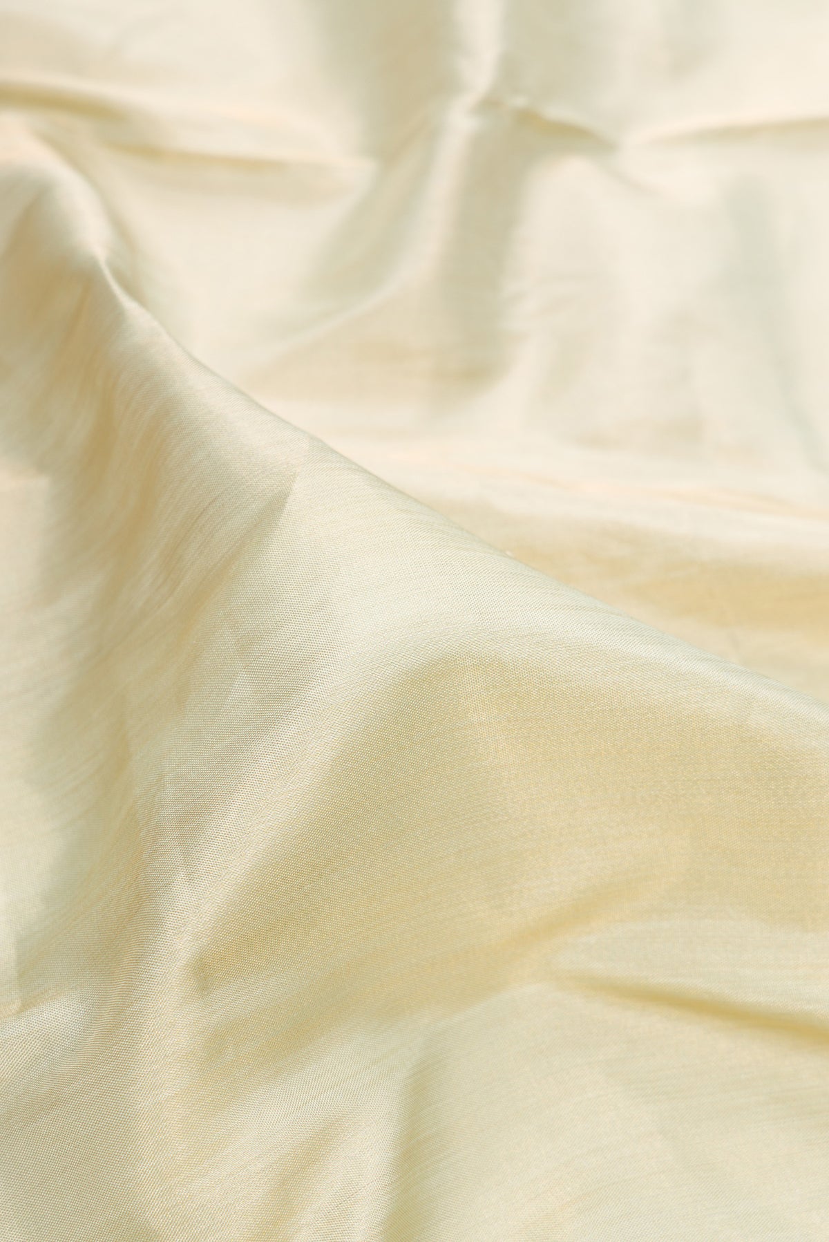 Close up of Pista Green Dual Tone Banarasi Tissue Saree with Plain Body and Fancy Border.  displaying folds