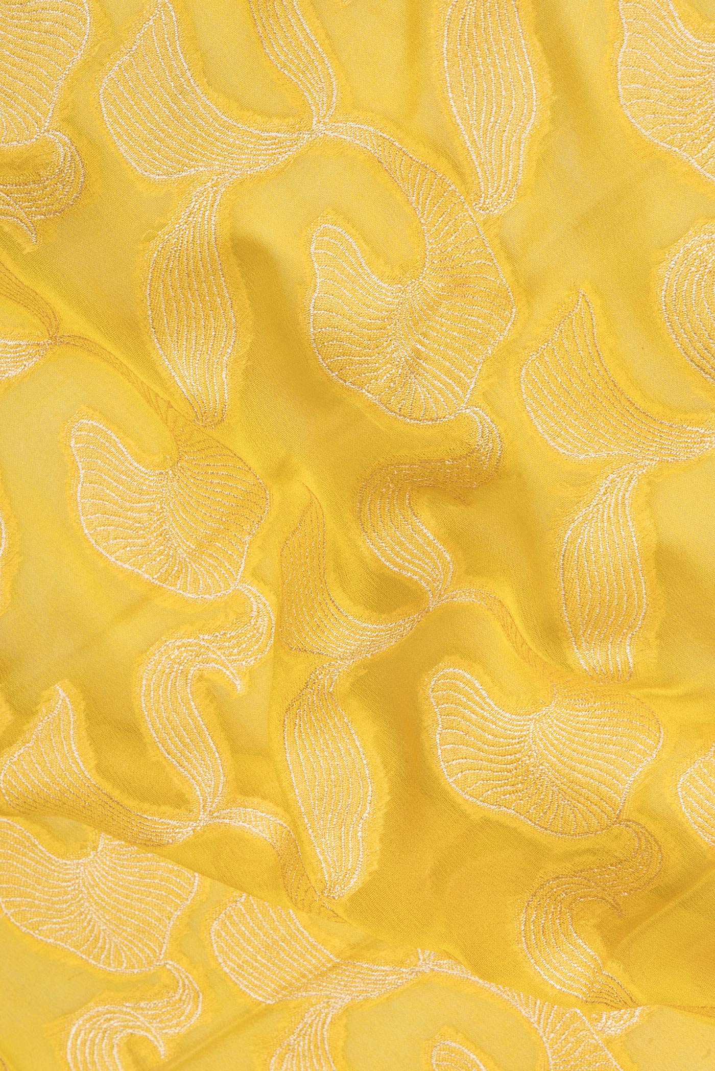 Close up of Yellow Banarasi Georgette Saree with Zari Brocade on the body and Zari Border.  displaying folds