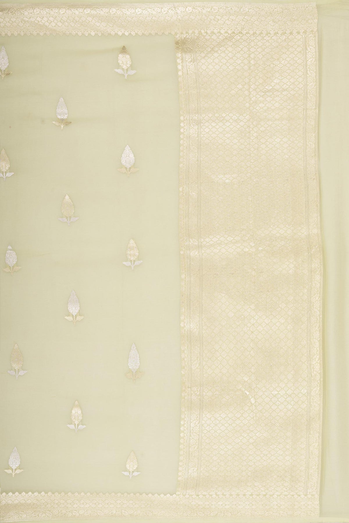 Close up image of the pallu of Pista Green Dual Tone Banarasi Georgette Saree with Zari Butta on the body and Fancy Border. 