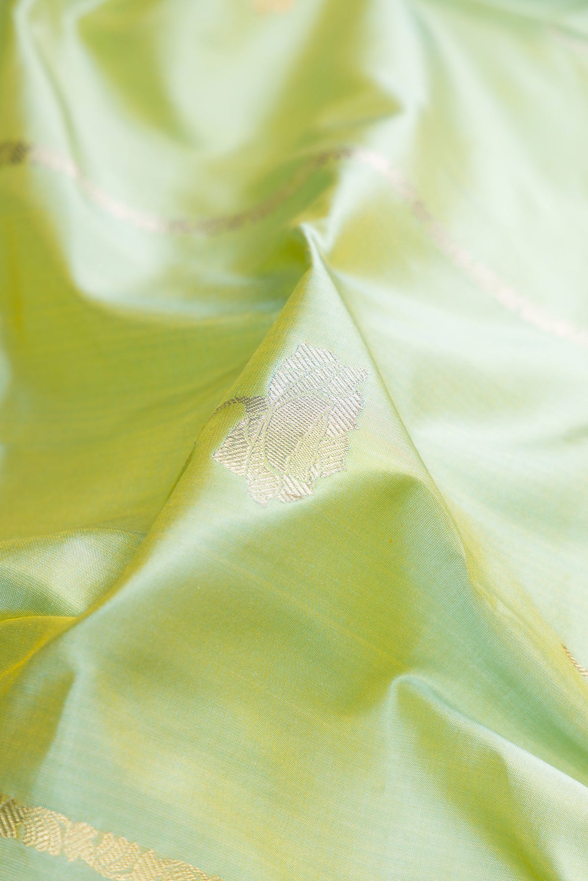 Close up of Pure Silk Pista Green Banarasi Saree with Zari Butta on the body and Fancy Border.  displaying folds