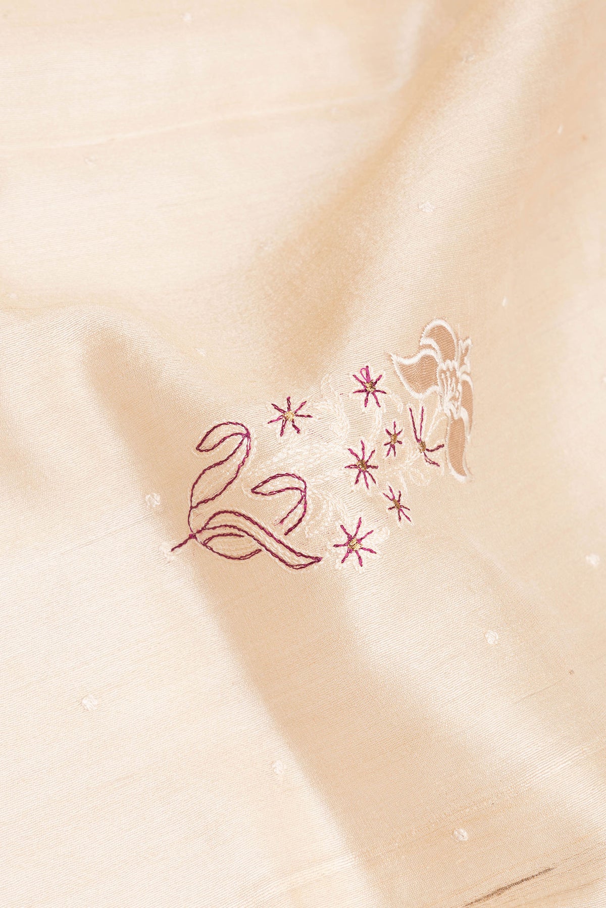 Close up of Cream Tussar Saree with Embroidered on the body and Zari Border.  displaying folds