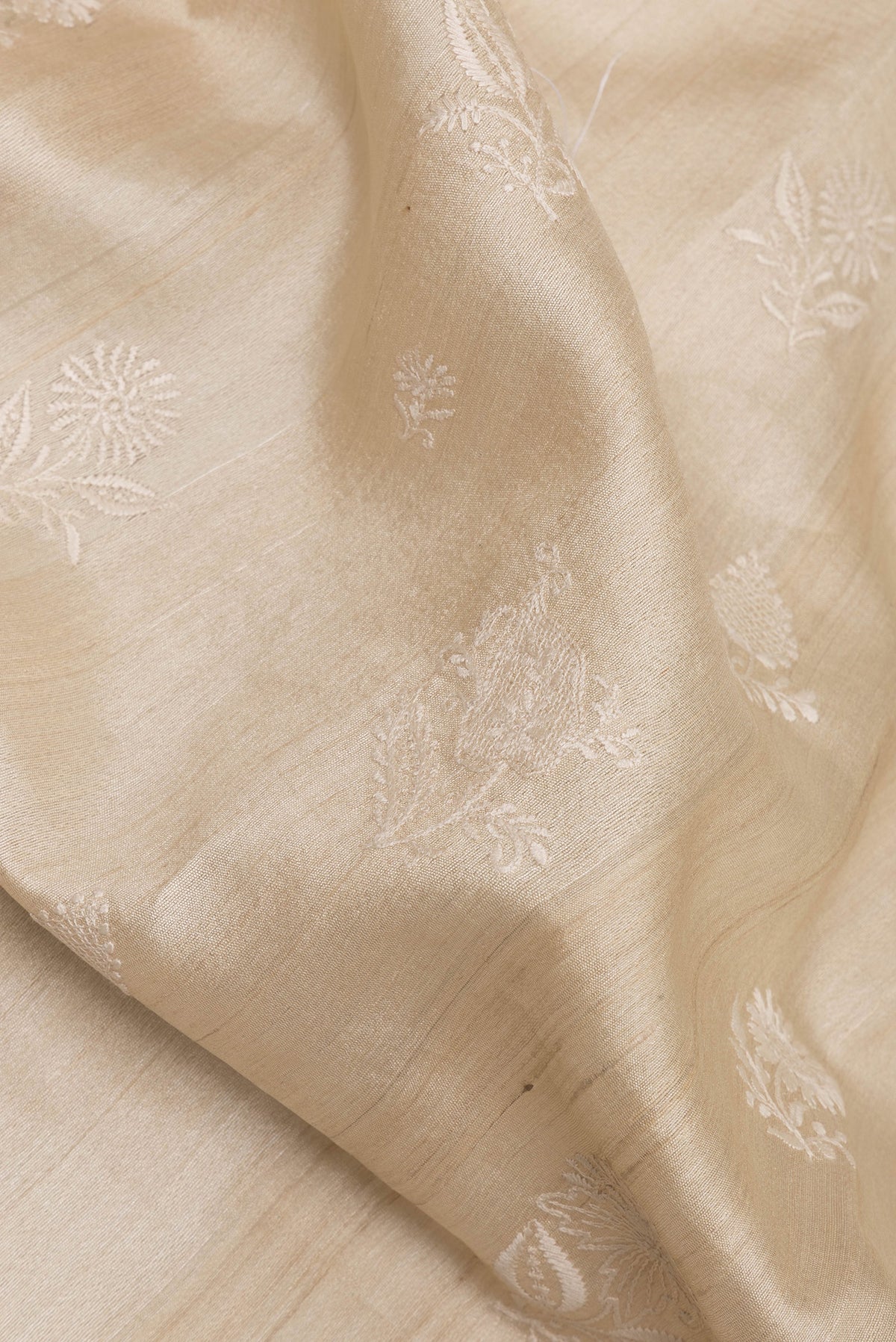 Close up of Beige Tussar Saree with Embroidered on the body and Zari Border.  displaying folds