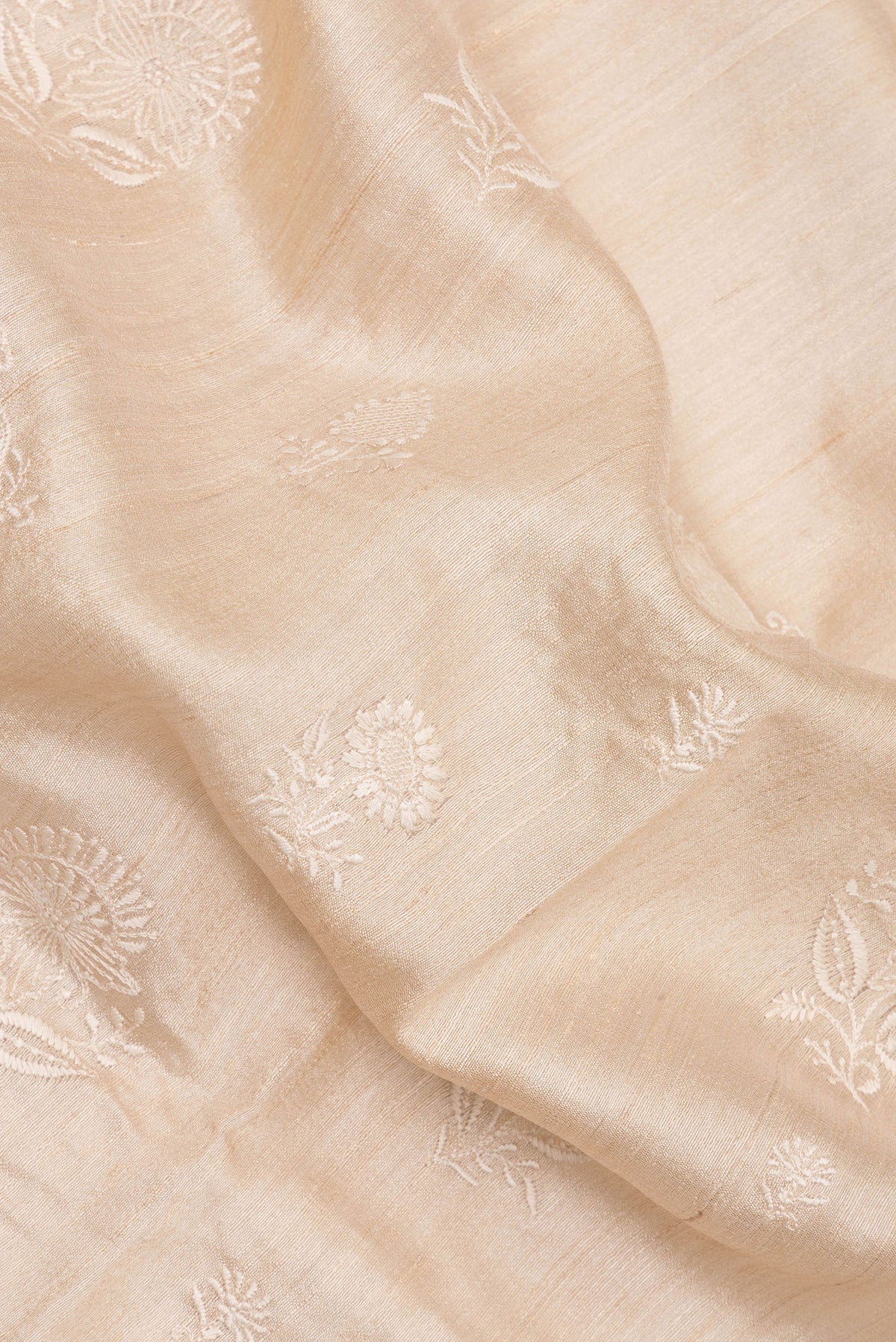 Close up of Beige Tussar Saree with Embroidered on the body and Zari Border.  displaying folds