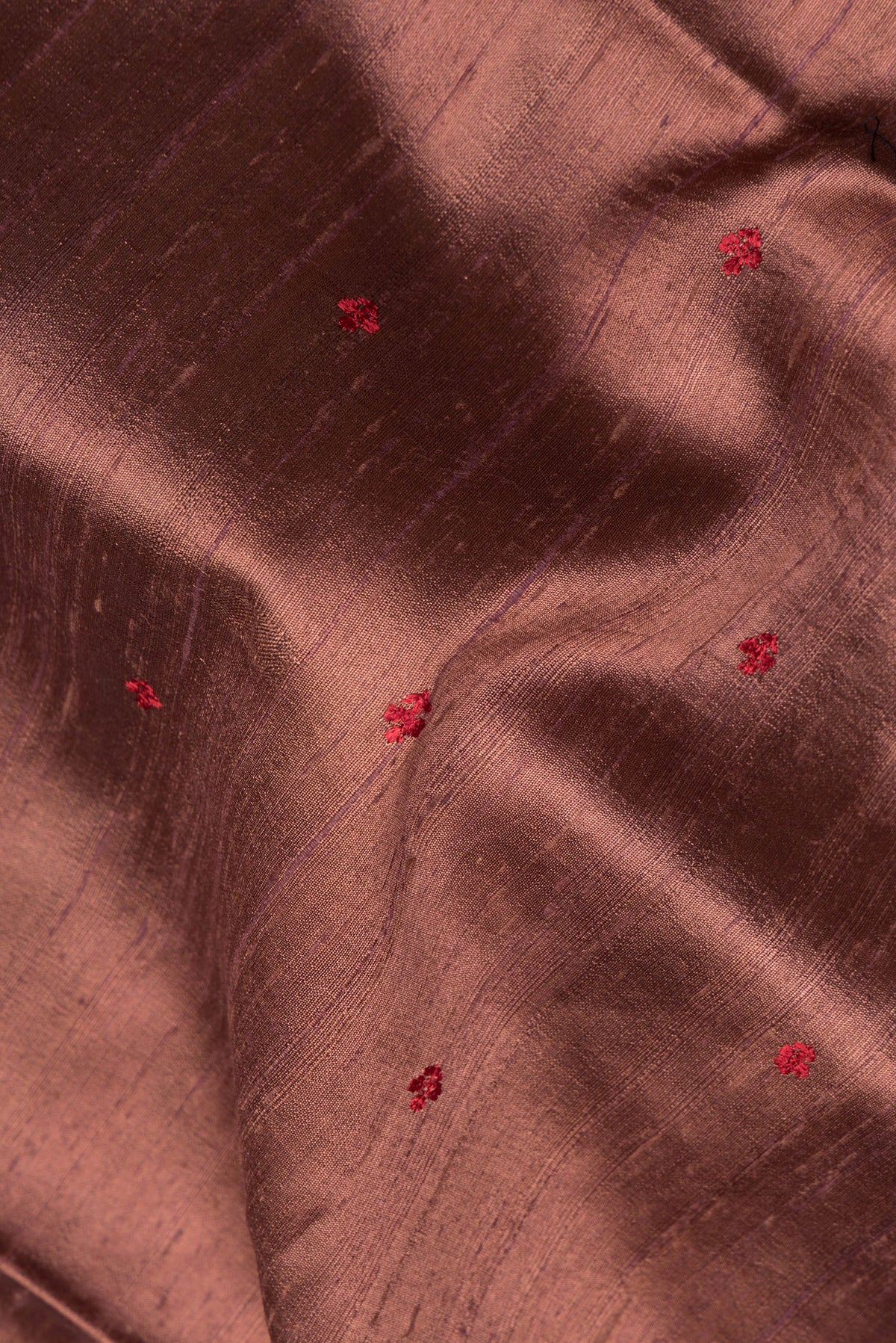 Close up of Brown Tussar Saree with Embroidered on the body and Zari Border.  displaying folds