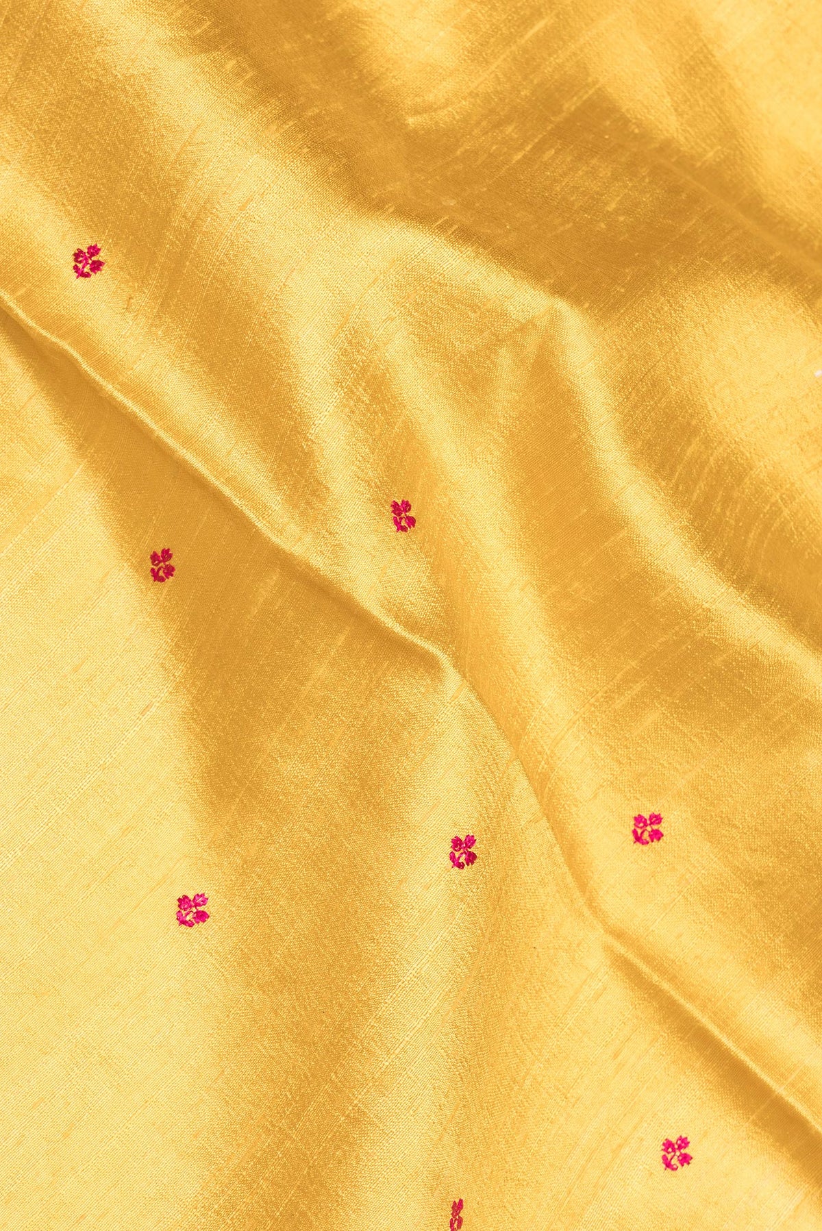 Close up of Pure Silk Sandal Dual Tone Raw Saree with Embroidery on the body and Zari Border.  displaying folds