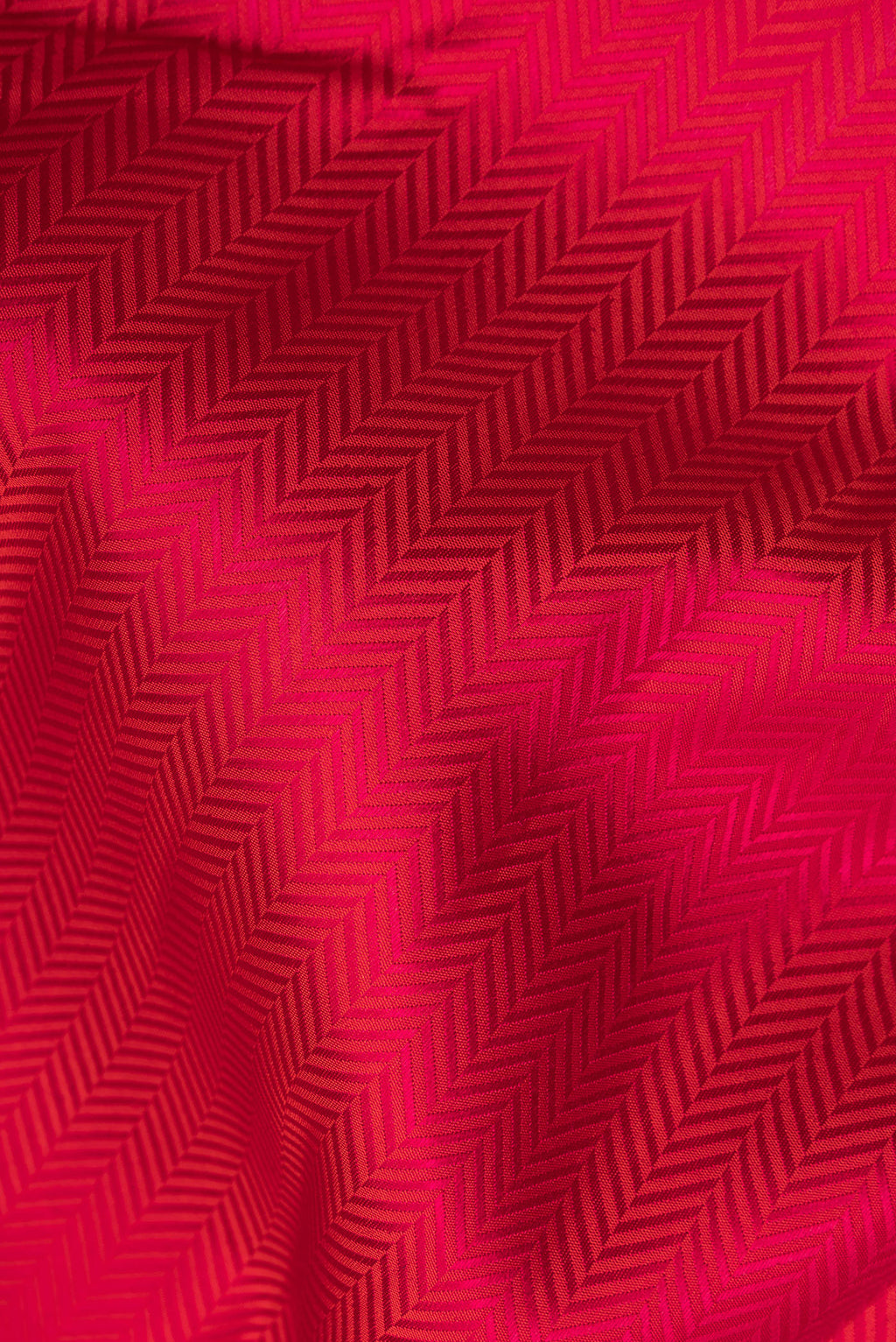 Close up of Pure Silk Red Kanjivaram Saree with Jacquard design on the body and Zari Border.  displaying folds