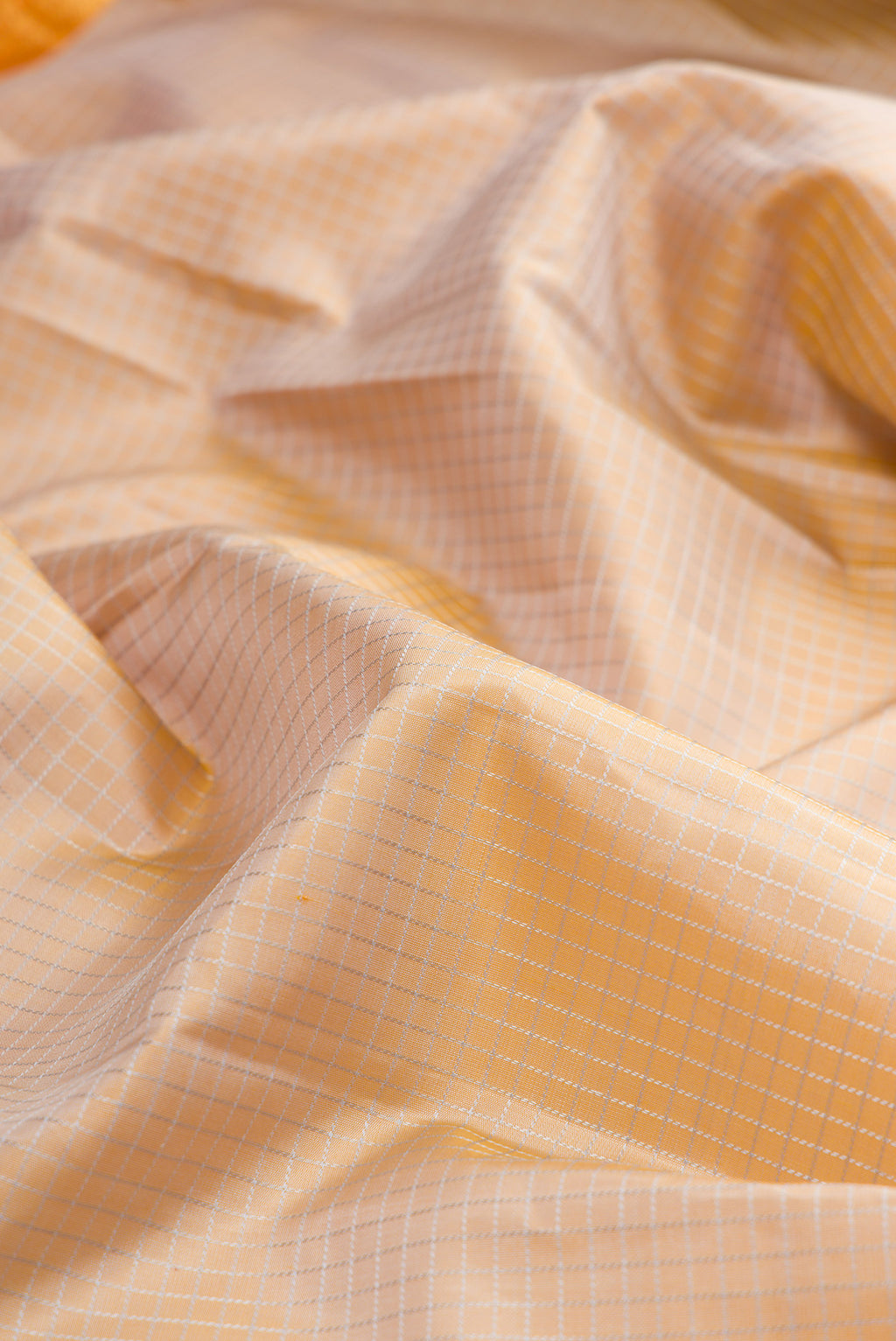 Close up of Pure Silk Beige Kanchipuram Saree with Checked design on the body and Zari Border.  displaying folds