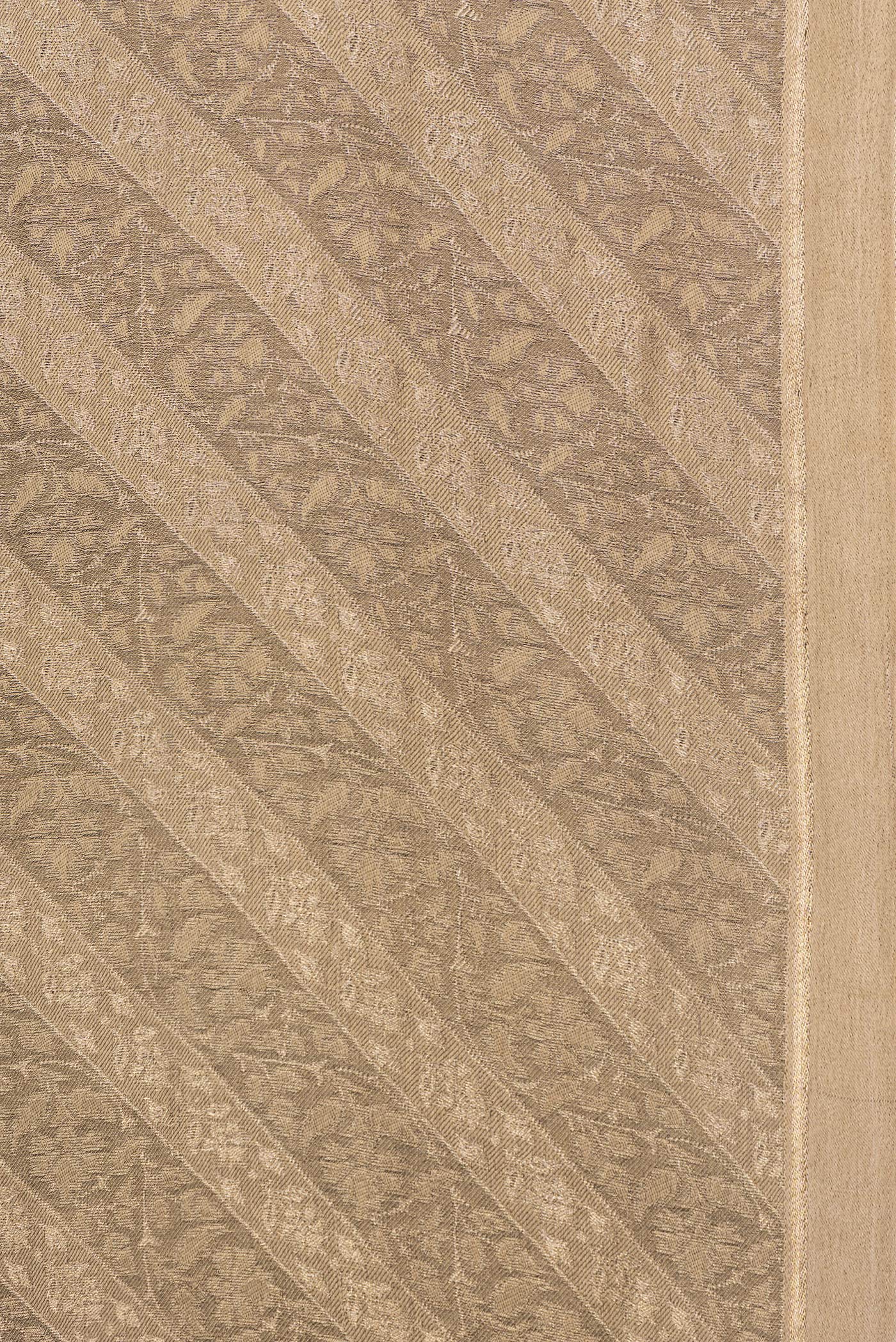 Border image of Brown Dual Tone Banarasi Georgette Saree with Zari Brocade on the body and Zari Border. 