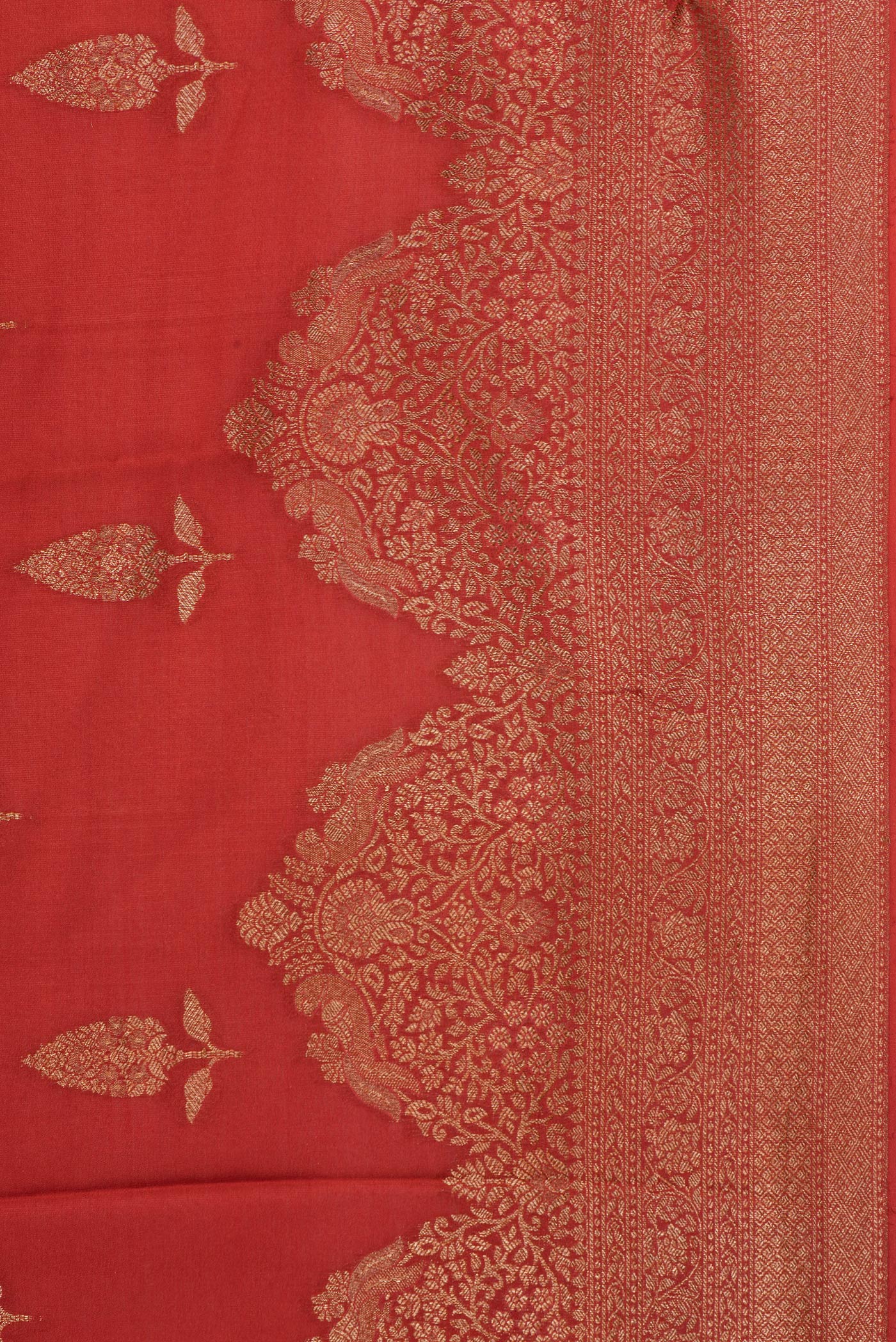 Border image of Rust Dual Tone Banarasi Georgette Saree with Zari Butta on the body and Fancy Border. 
