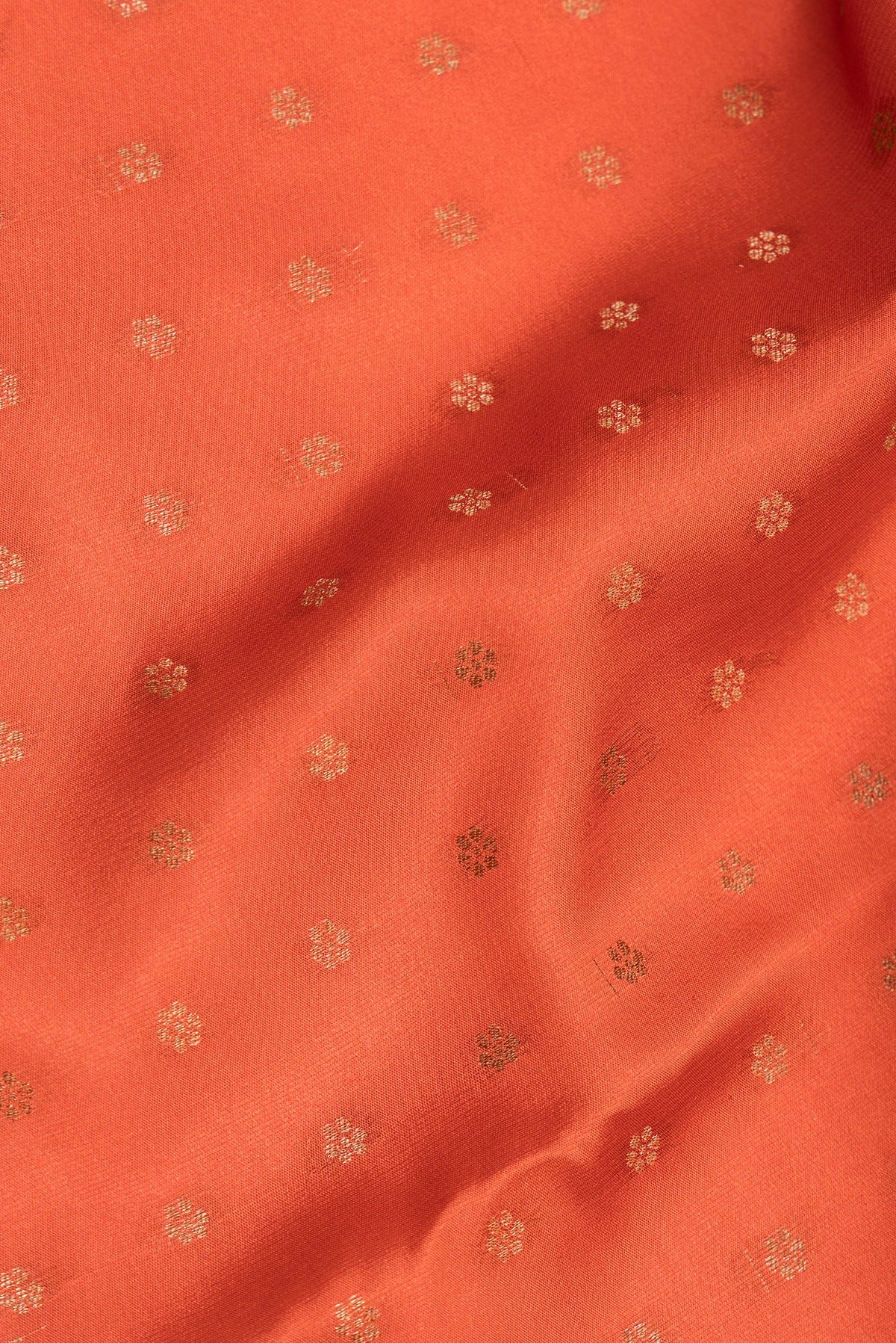 Close up of Rust Dual Tone Banarasi Georgette Saree with Zari Butta on the body and Zari Border.  displaying folds
