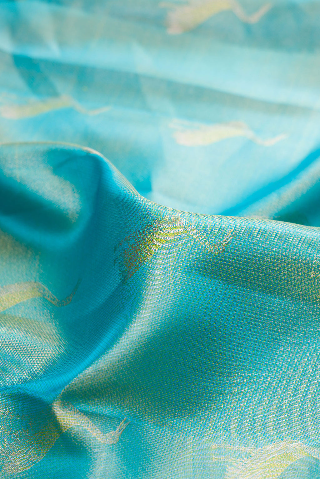Close up of Sky Blue Kanchipuram Tissue Silk Saree with Zari Brocade on the body and Fancy Border.  displaying folds