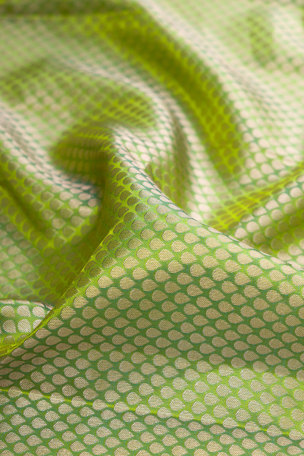 Close up of Green Kanchipuram Tissue Silk Saree with Zari Brocade on the body and Zari Border.  displaying folds