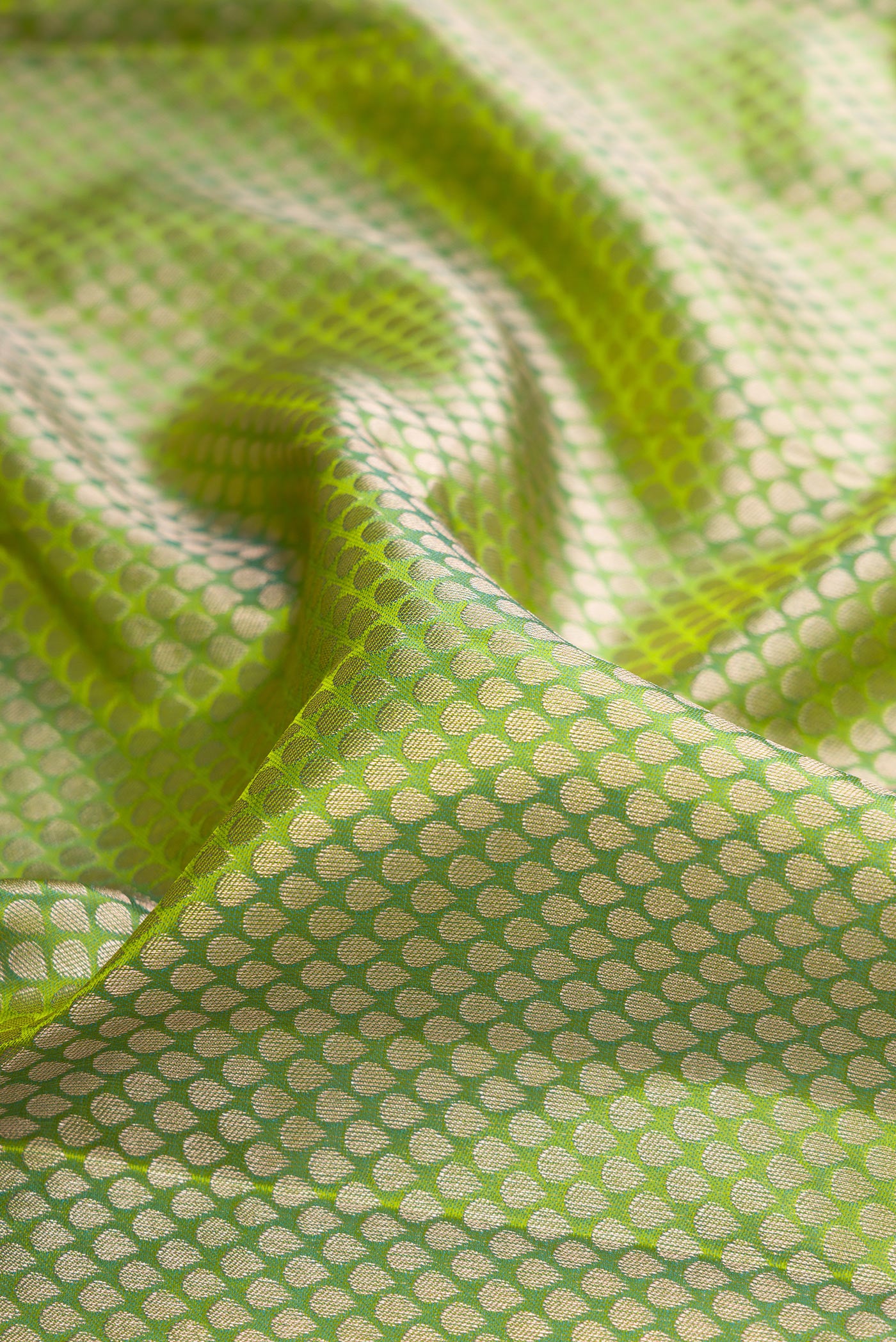 Close up of Green Kanchipuram Tissue Silk Saree with Zari Brocade on the body and Zari Border.  displaying folds