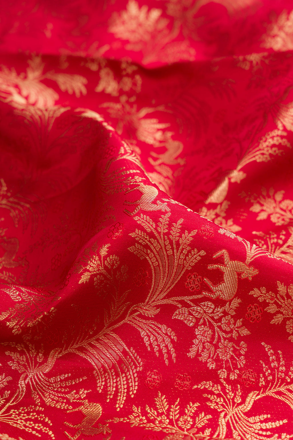 Close up of Red Kanjivaram Silk Saree with Zari Brocade on the body and Zari Border.  displaying folds
