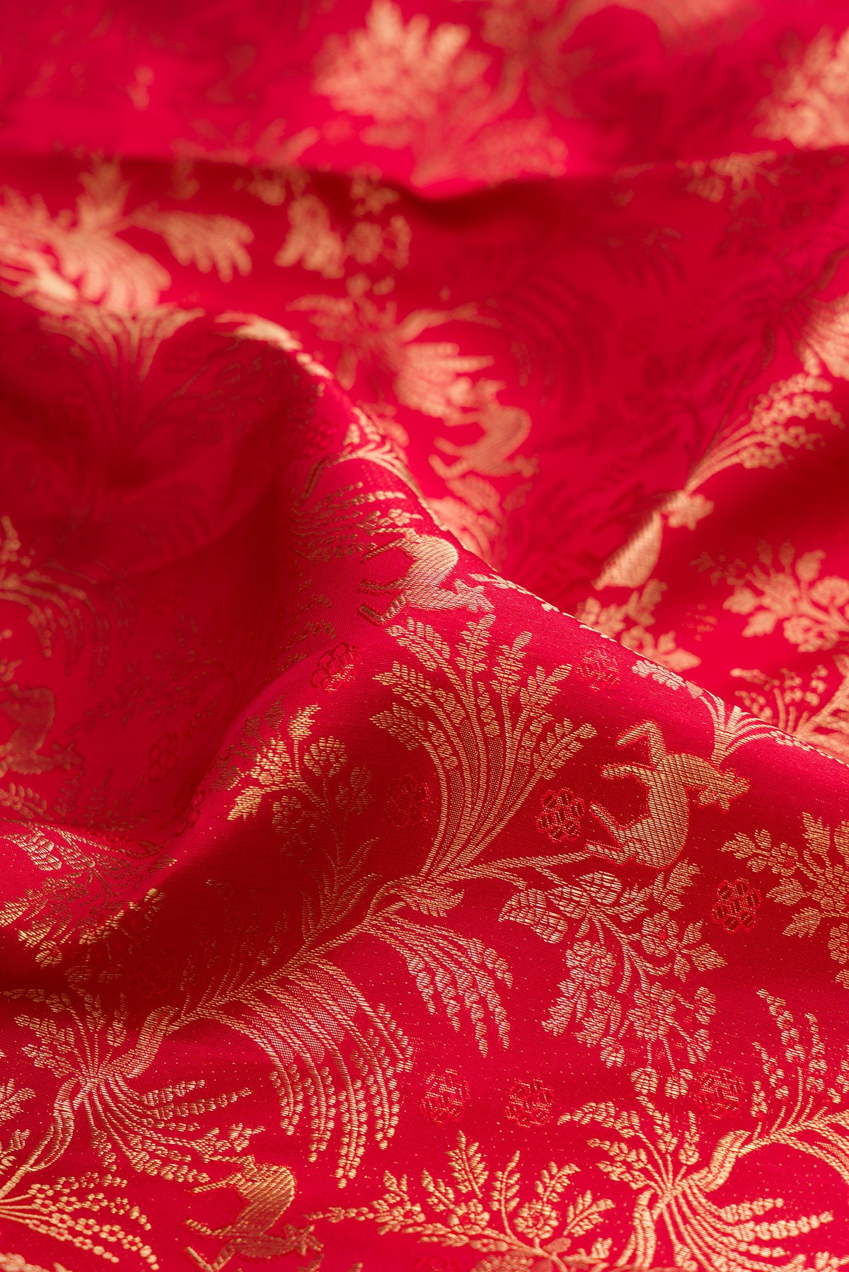 Close up of Red Kanjivaram Silk Saree with Zari Brocade on the body and Zari Border.  displaying folds