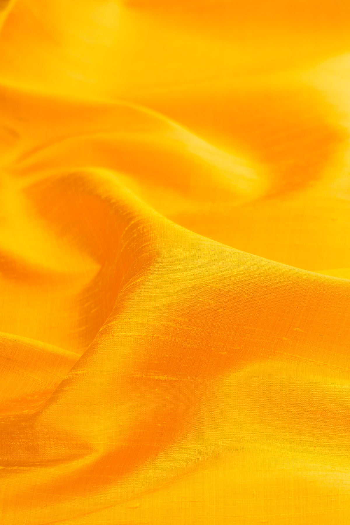 Close up of Pure Silk Yellow Raw Saree with Plain Body and Zari Border.  displaying folds