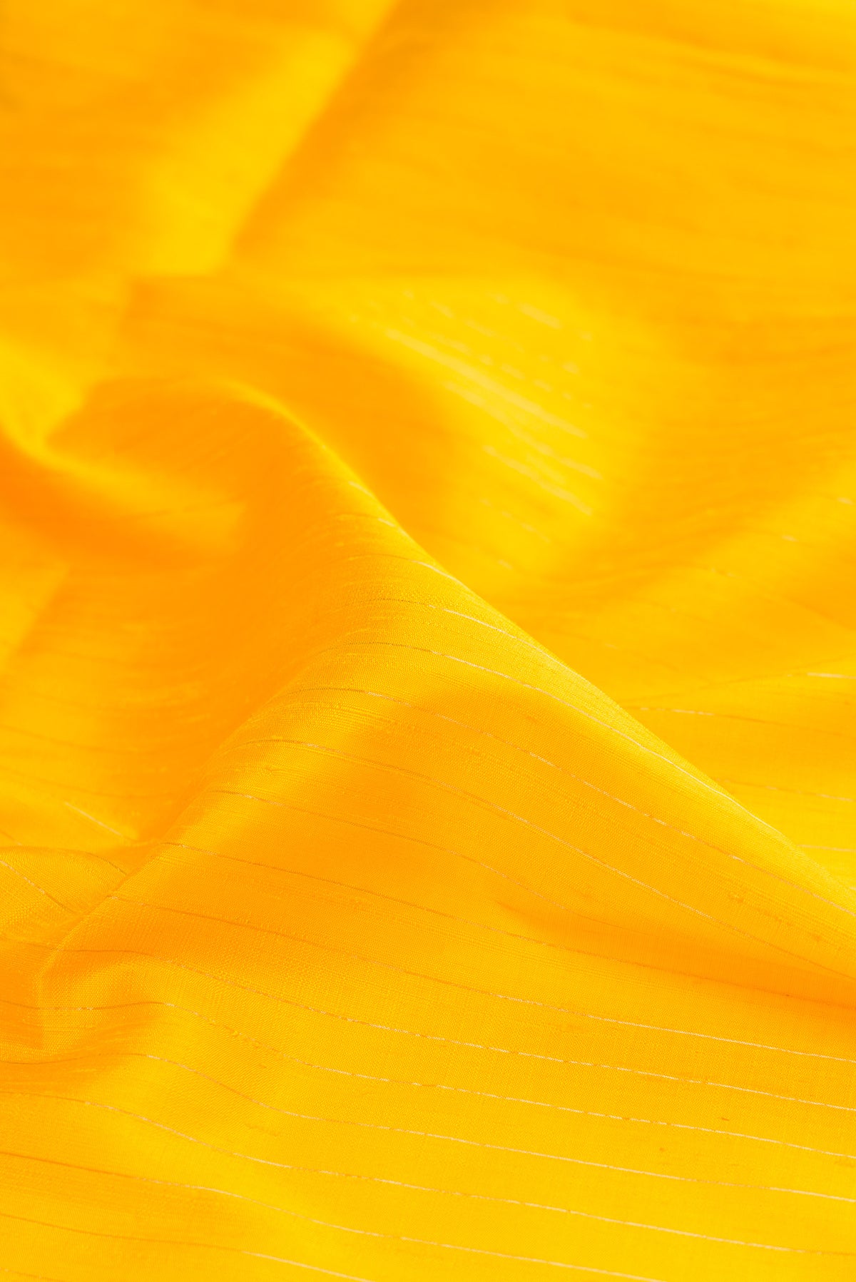Close up of Pure Silk Yellow Raw Saree with Stripes on the body and Zari Border.  displaying folds