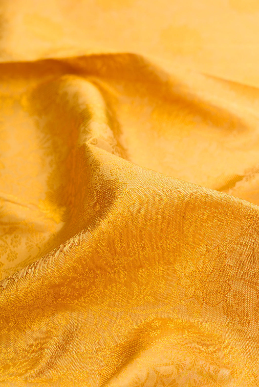 Close up of Pure Silk Gold Kanchipuram Saree with Zari Brocade on the body and Zari Border.  displaying folds
