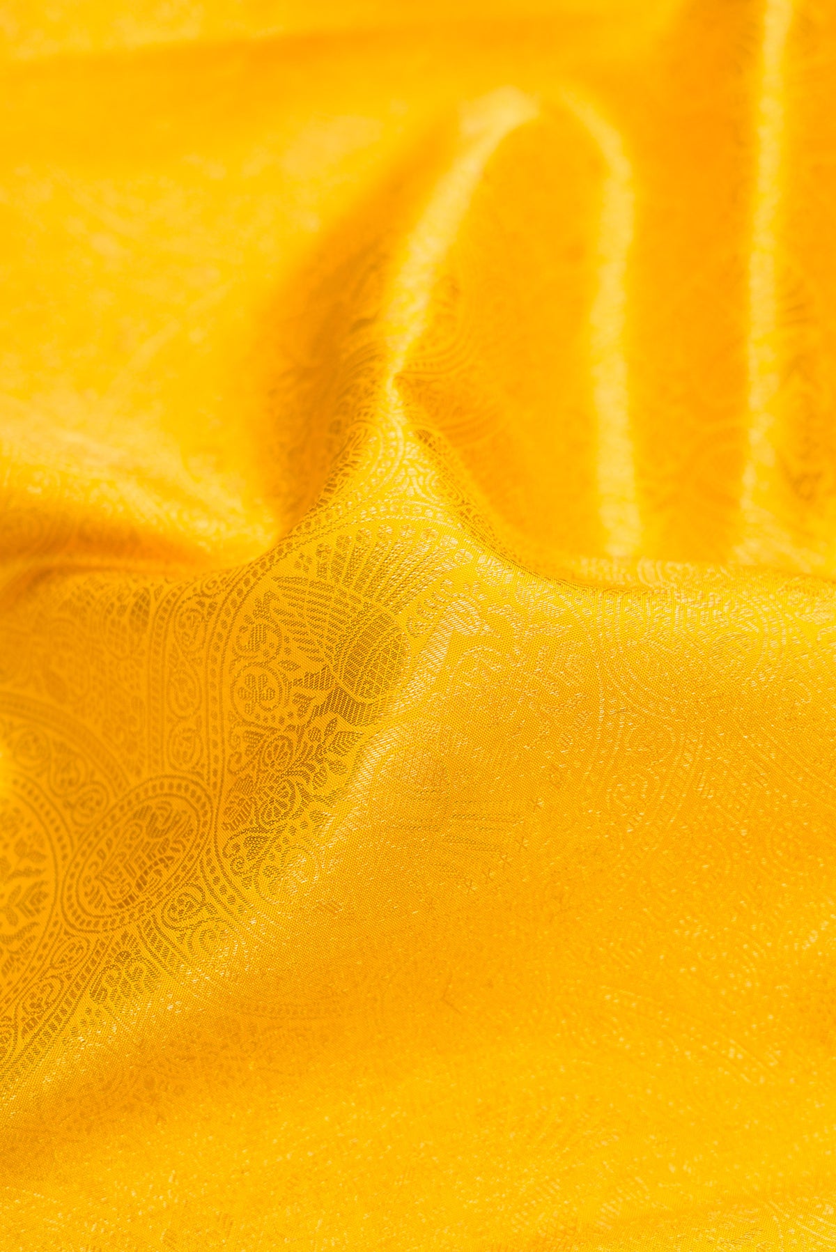 Close up of Pure Silk Yellow Kanjivaram Saree with Zari Brocade on the body and Zari Border.  displaying folds