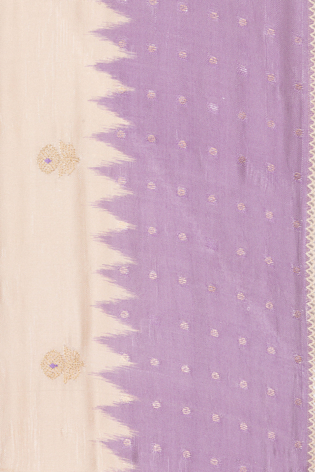 Border image of Pure Silk Beige Dual Tone Tussar Saree with Embroidery on the body and Embroidery Border. 