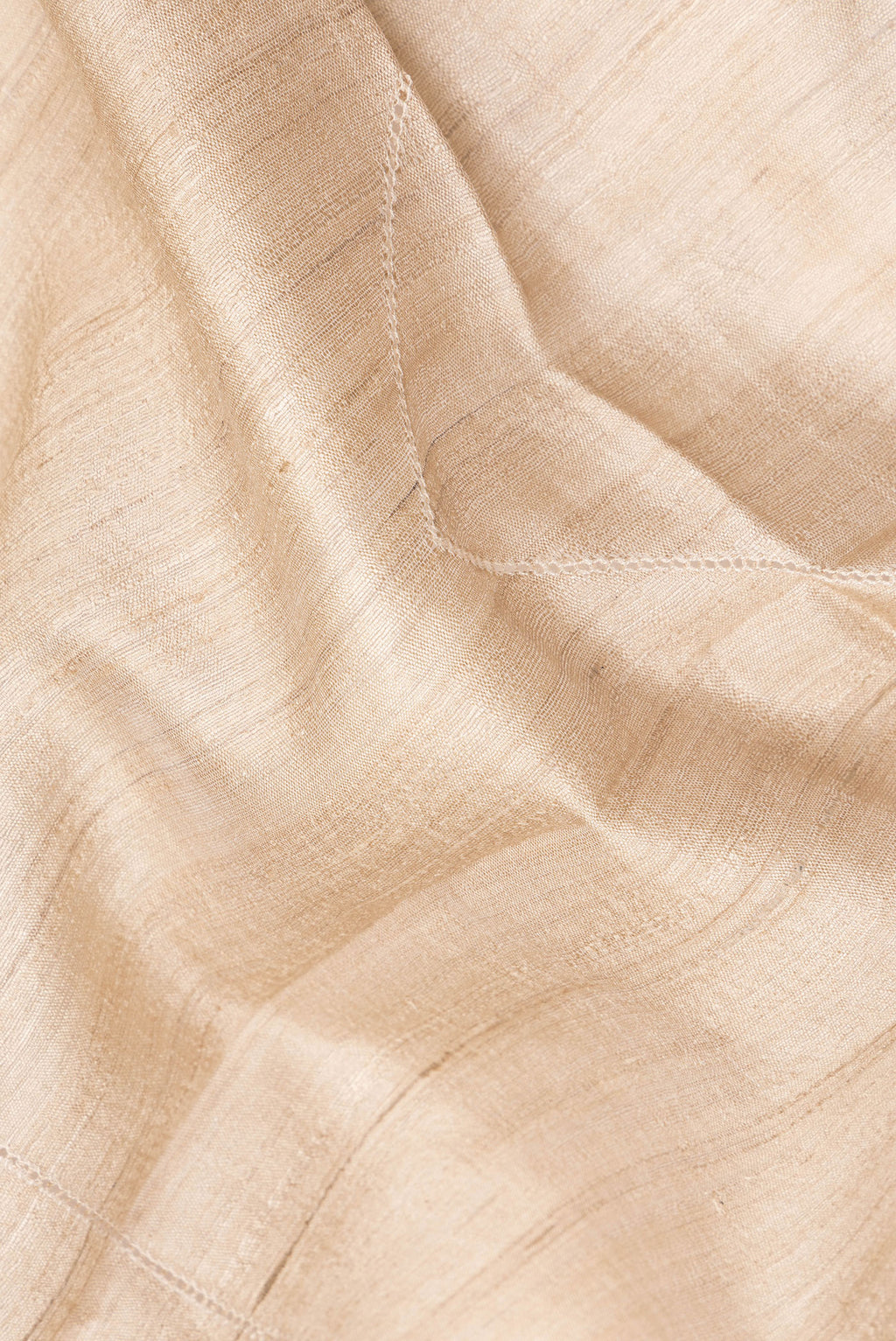 Close up of Beige Tussar Saree with Embroidered on the body and Embroidered Border.  displaying folds