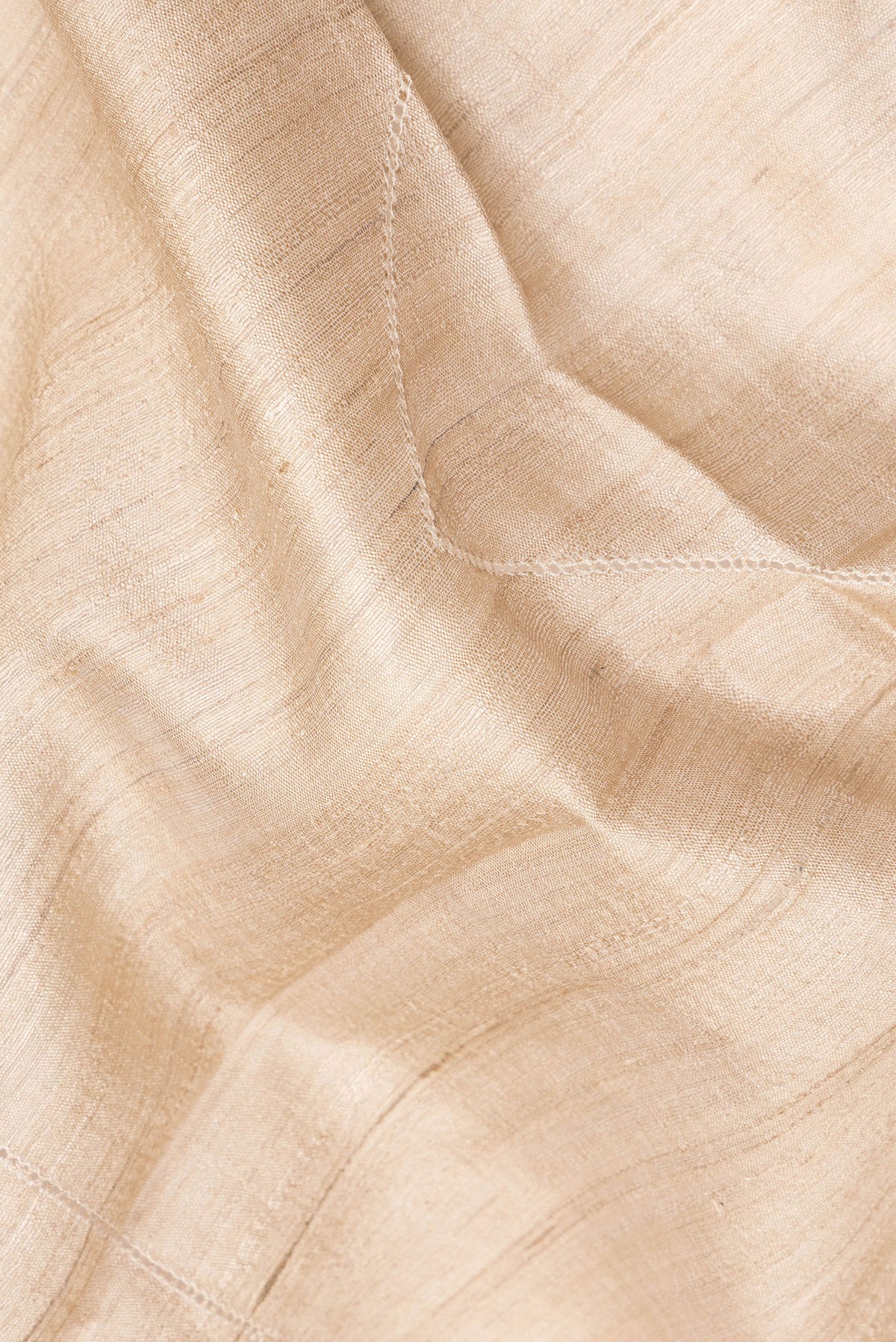 Close up of Beige Tussar Saree with Embroidered on the body and Embroidered Border.  displaying folds