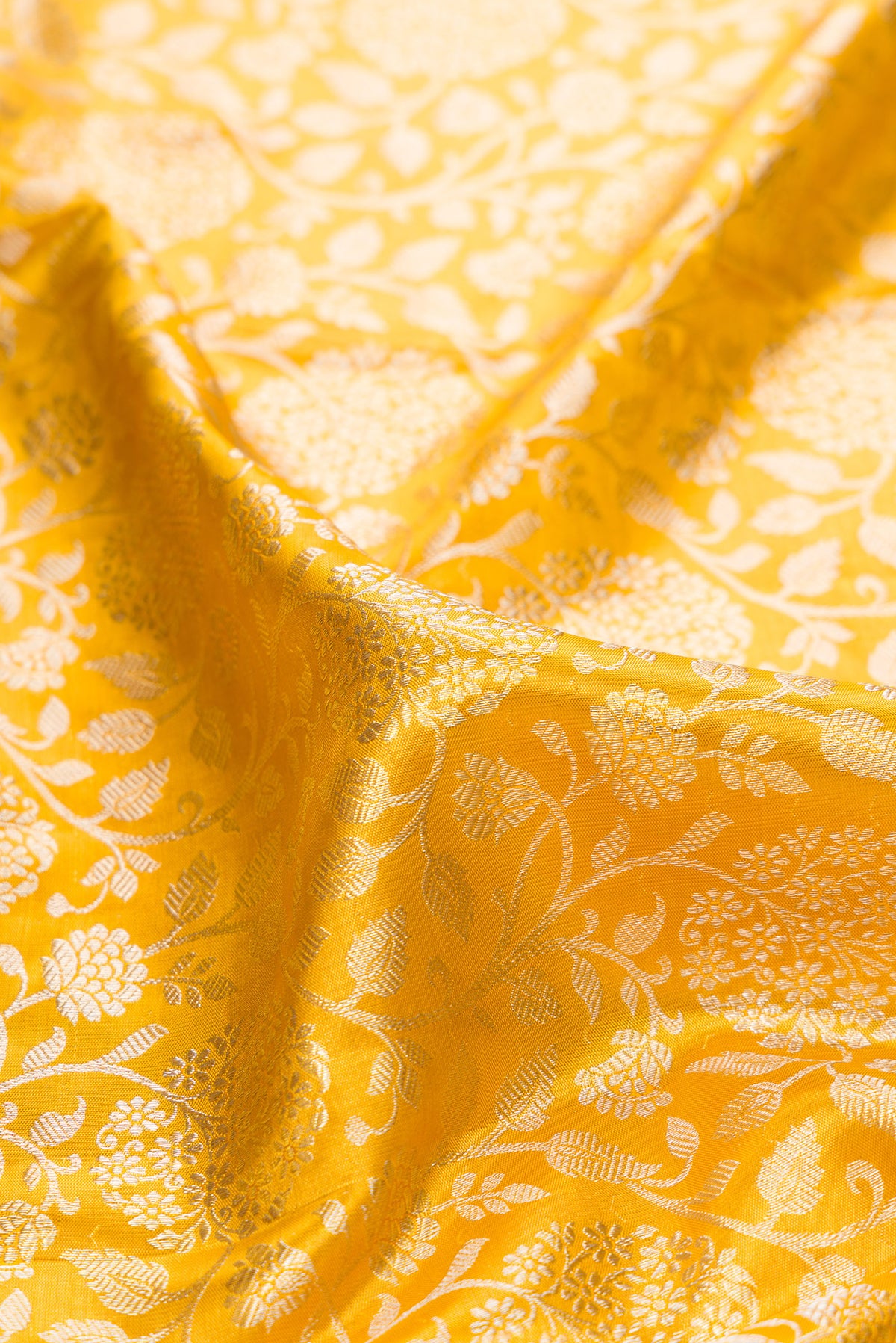 Close up of Yellow Dual Tone Kanjivaram Tissue Saree with Zari Brocade on the body and Zari Border.  displaying folds
