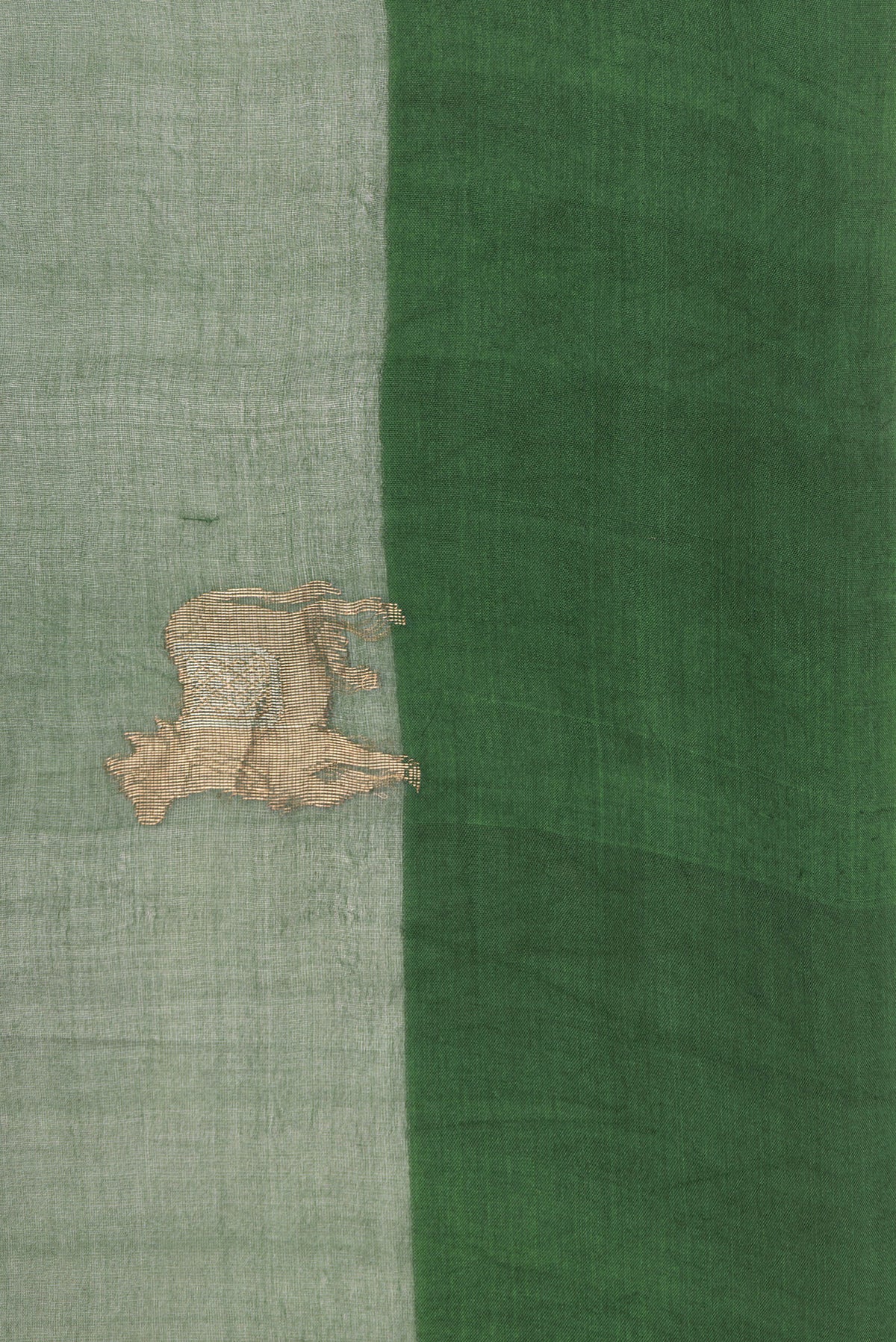 Border image of Pure Silk Green Dual Tone Tussar Saree with Plain Body and Plain Border. 