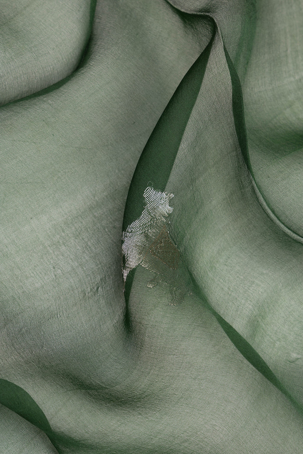 Close up of Pure Silk Green Dual Tone Tussar Saree with Plain Body and Plain Border.  displaying folds