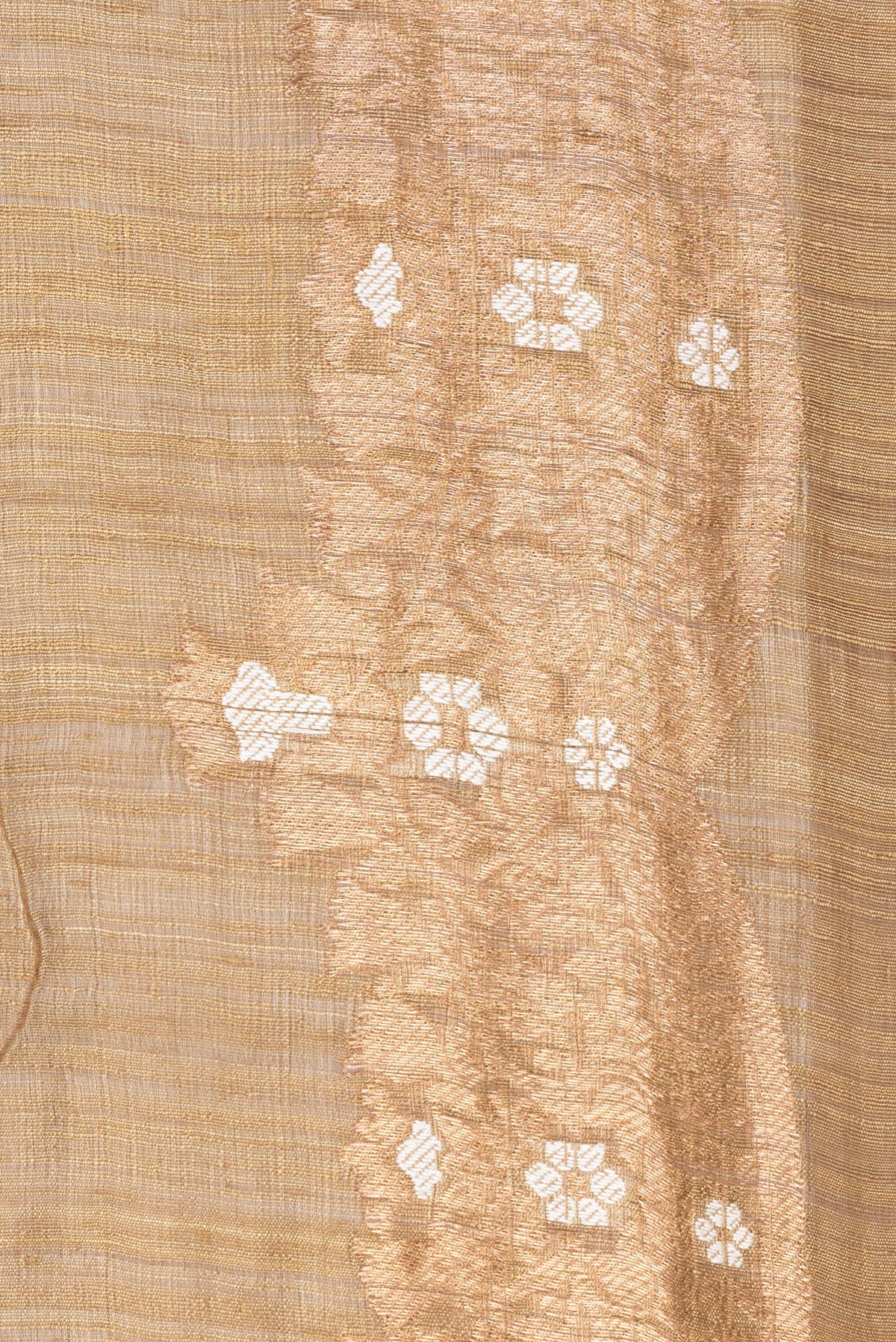 Border image of Pure Silk Gold Dual Tone Jute Saree with Zari Butta on the body and Fancy Border. 