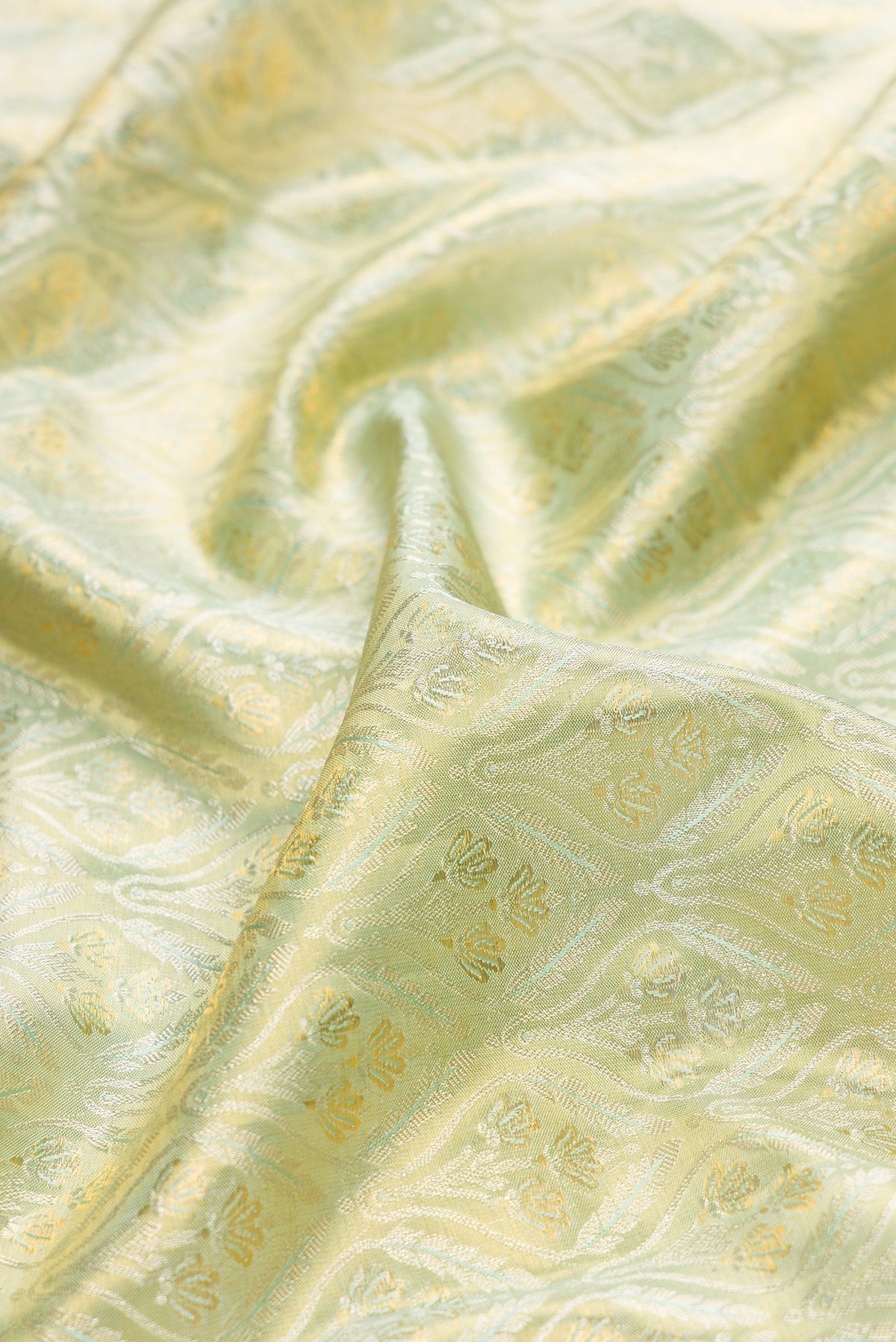 Close up of Pista Green Dual Tone Kanchipuram Tissue Saree with Zari Brocade on the body and Fancy Border.  displaying folds