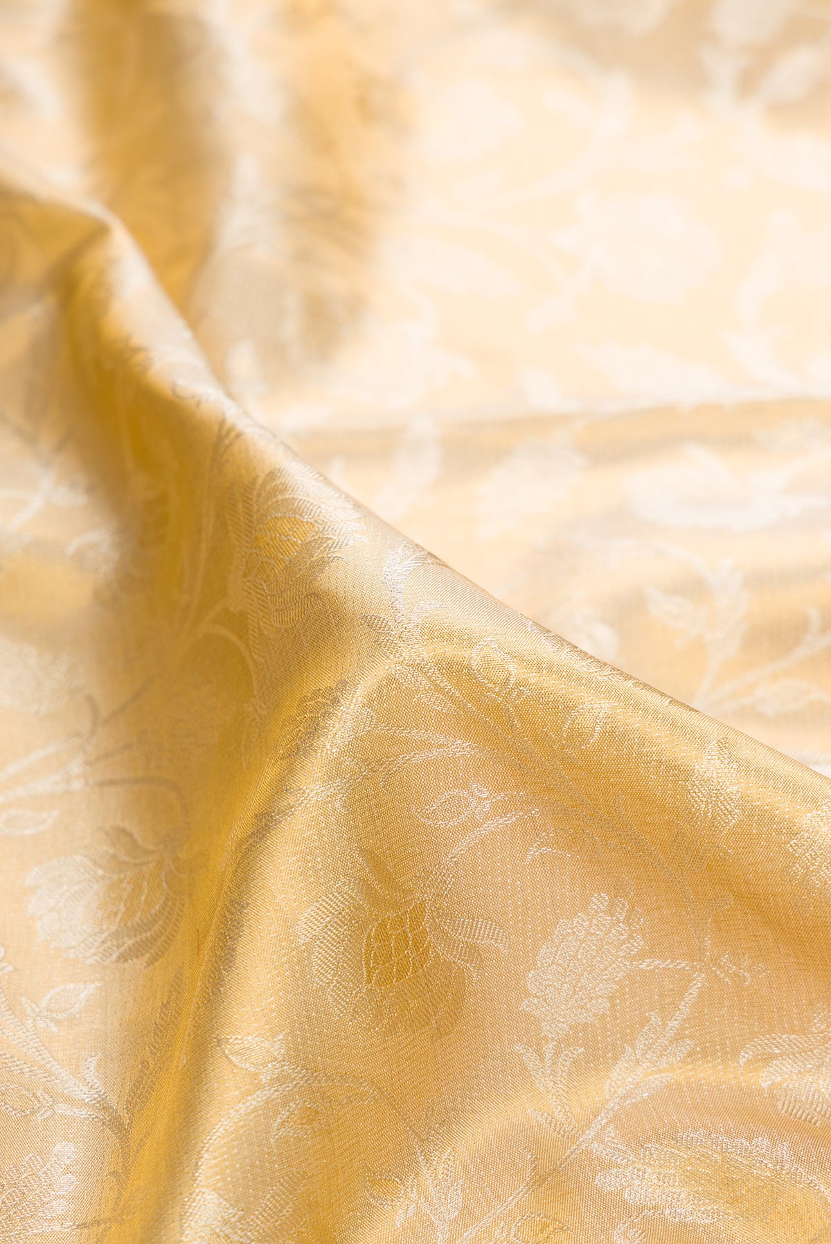 Close up of Gold Dual Tone Kanchipuram Tissue Saree with Zari Brocade on the body and Fancy Border.  displaying folds