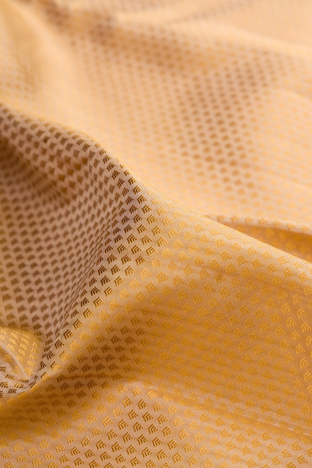 Close up of Pure Silk Pure Zari Beige Kanchipuram Saree with Jacquard design on the body and Zari Border.  displaying folds