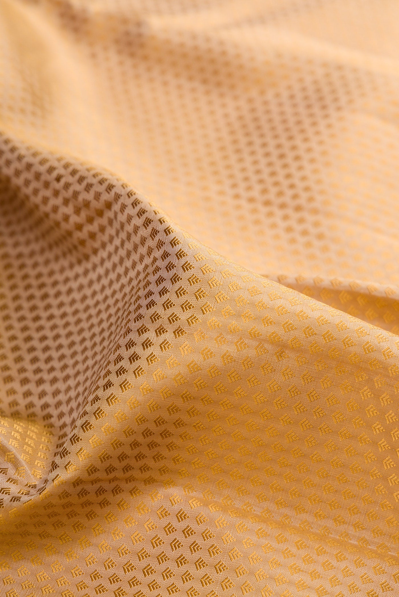 Close up of Pure Silk Pure Zari Beige Kanchipuram Saree with Jacquard design on the body and Zari Border.  displaying folds